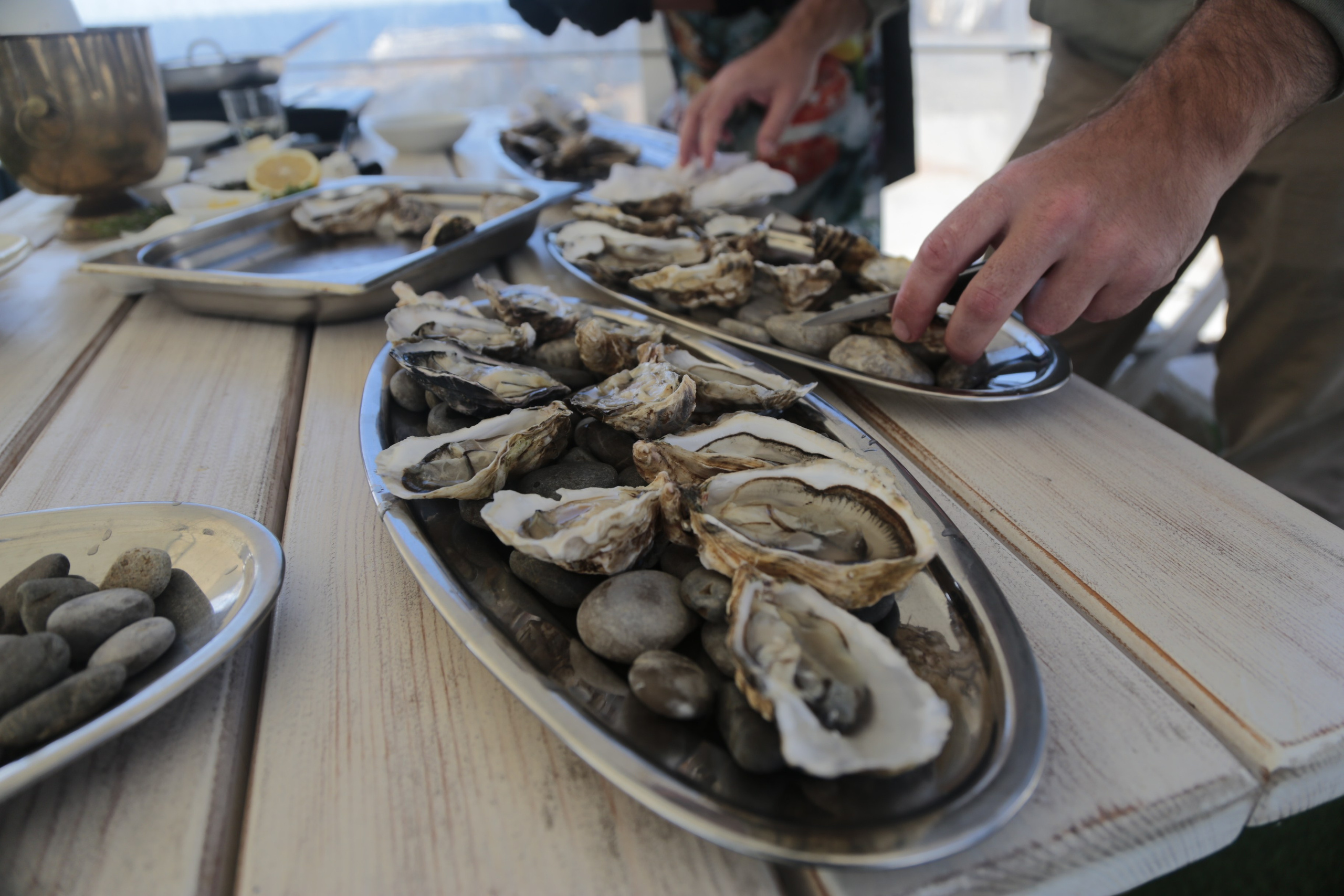 Репортажная съёмка. Фотограф в Крыму Карина Кириченко