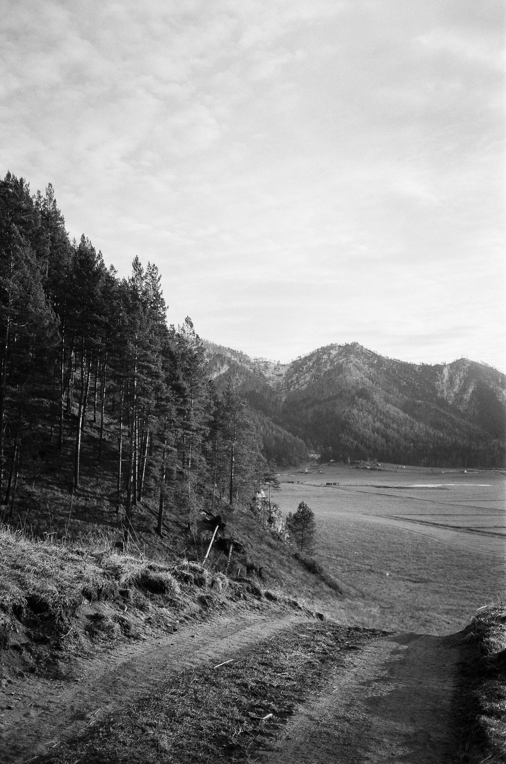 Деревня Берендеевка и кафе Лампа в верхах Алтая. Горы и поля Чемала. Фотограф-документалист Мария Осокина
