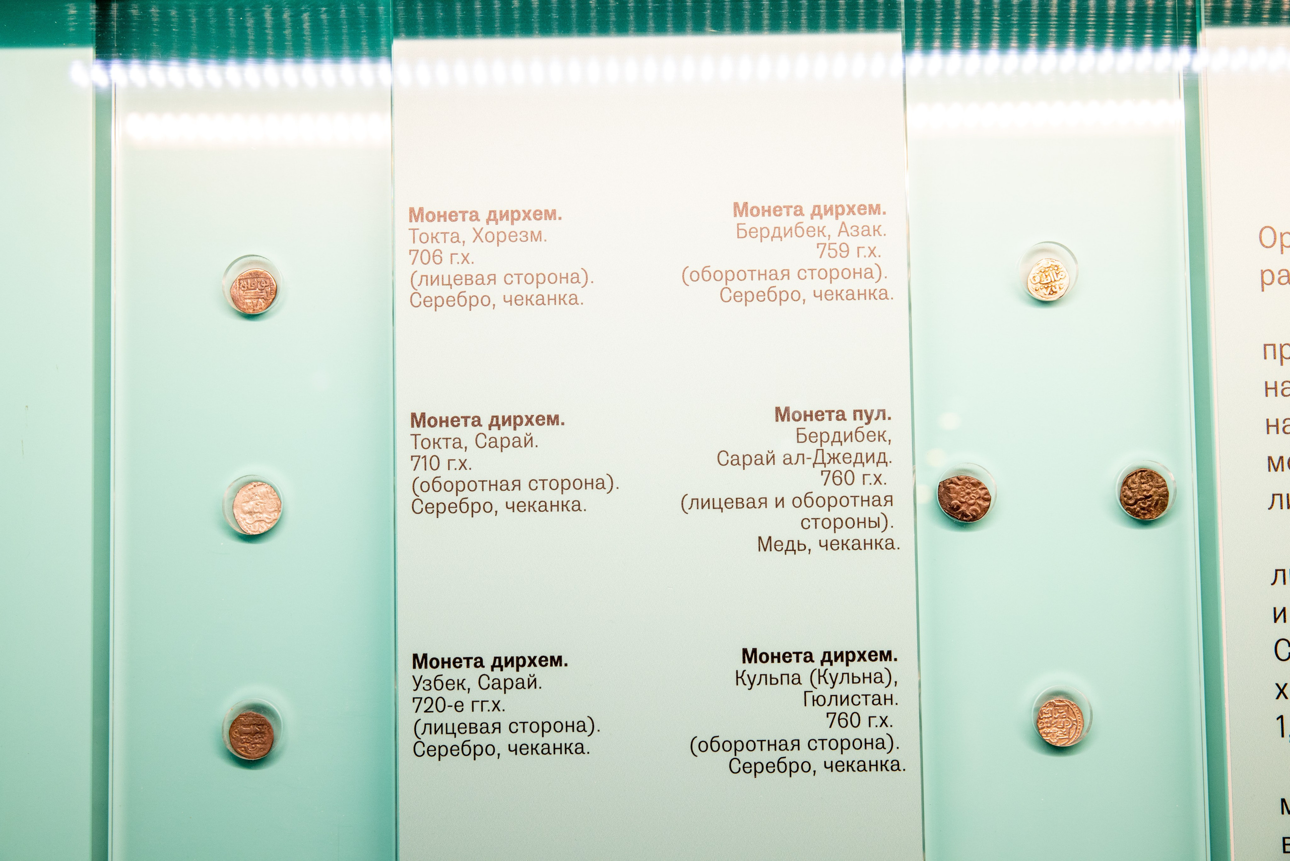 Поездка на поле Кулеково. Фотограф в Туле Крупский АнДРей. Фотостудия «КАДР71» в Туле