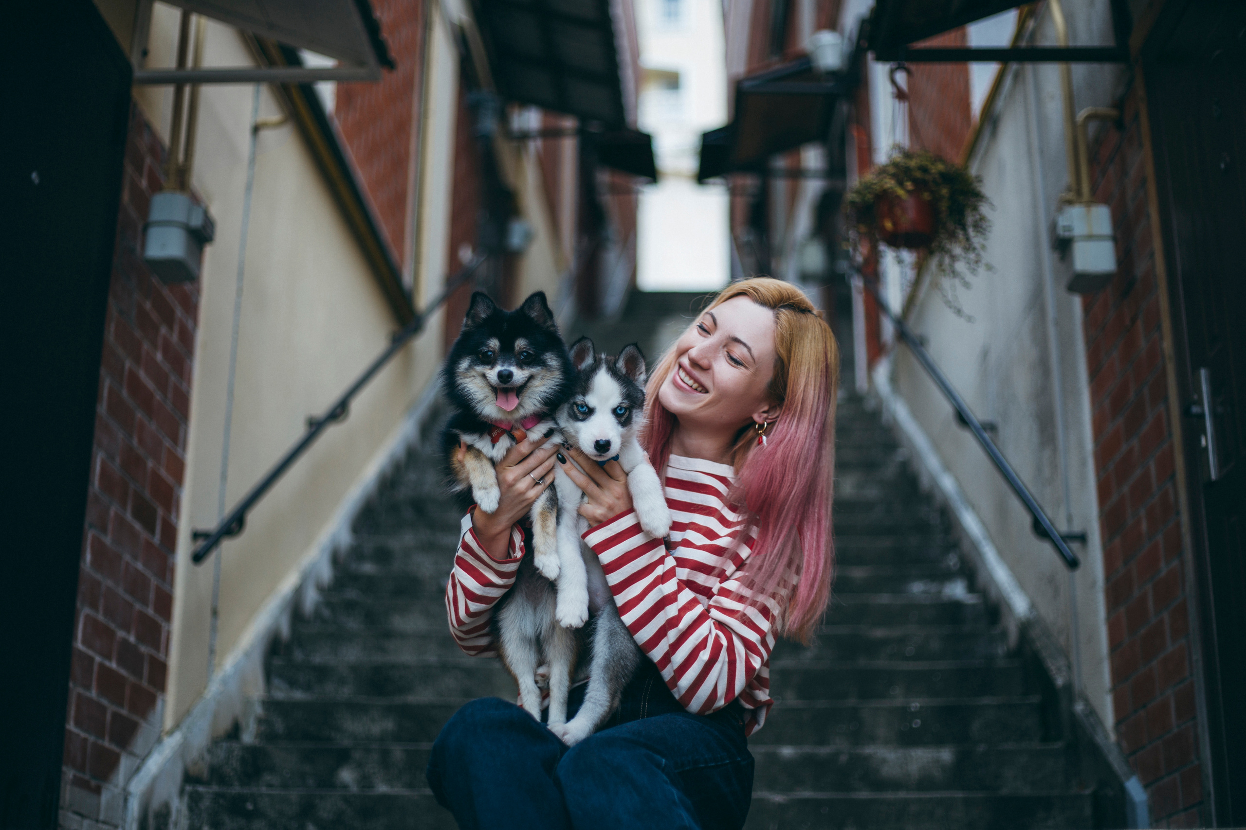 Анна с мужем и собаками @kosach_a. Семейный фотограф Валентина Качур в Сочи