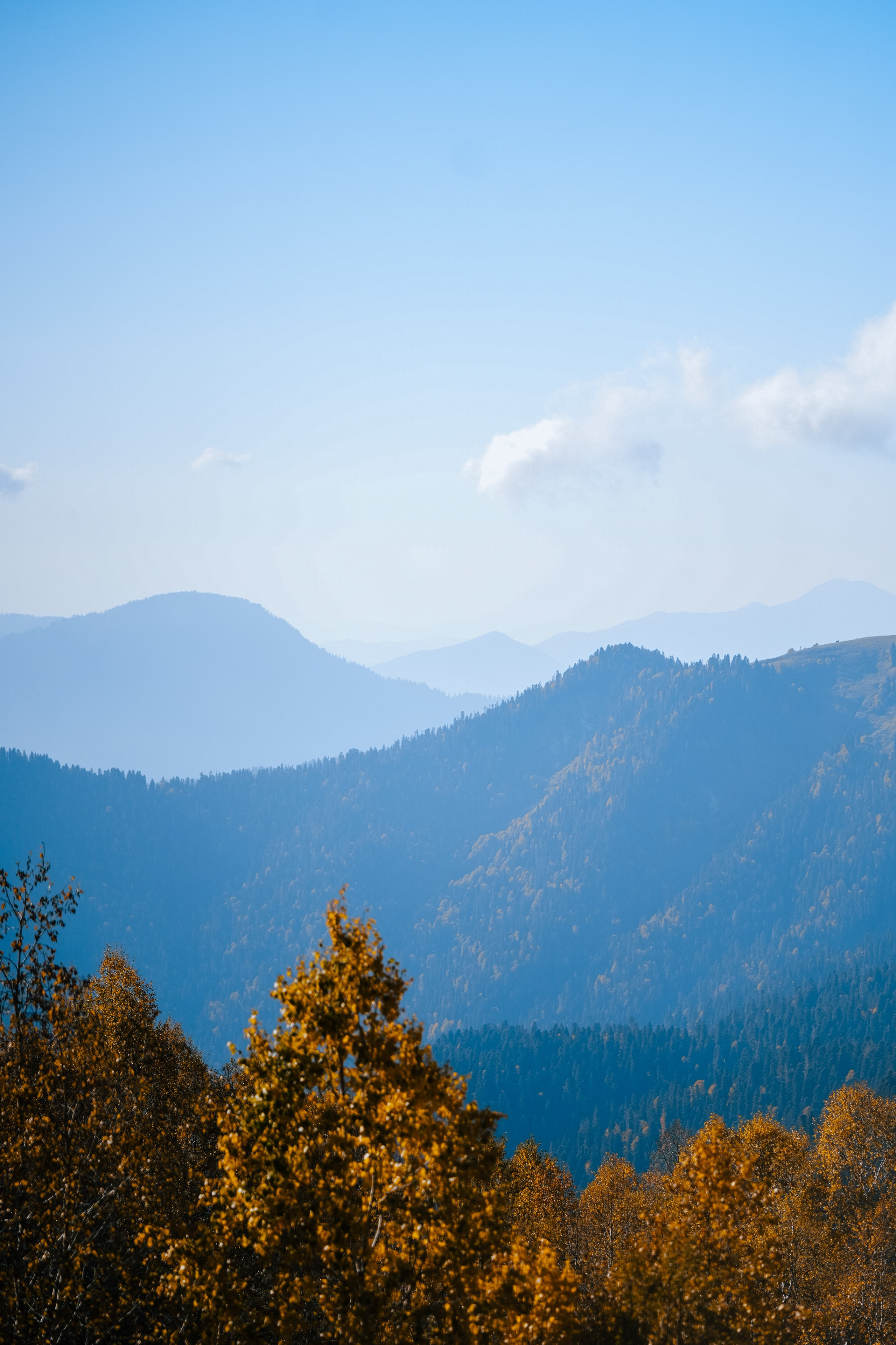 Роза Пик, тропа Турья ✽ Октябрь. Репортажный фотограф | Роза Хутор Красная Поляна Сочи Сириус