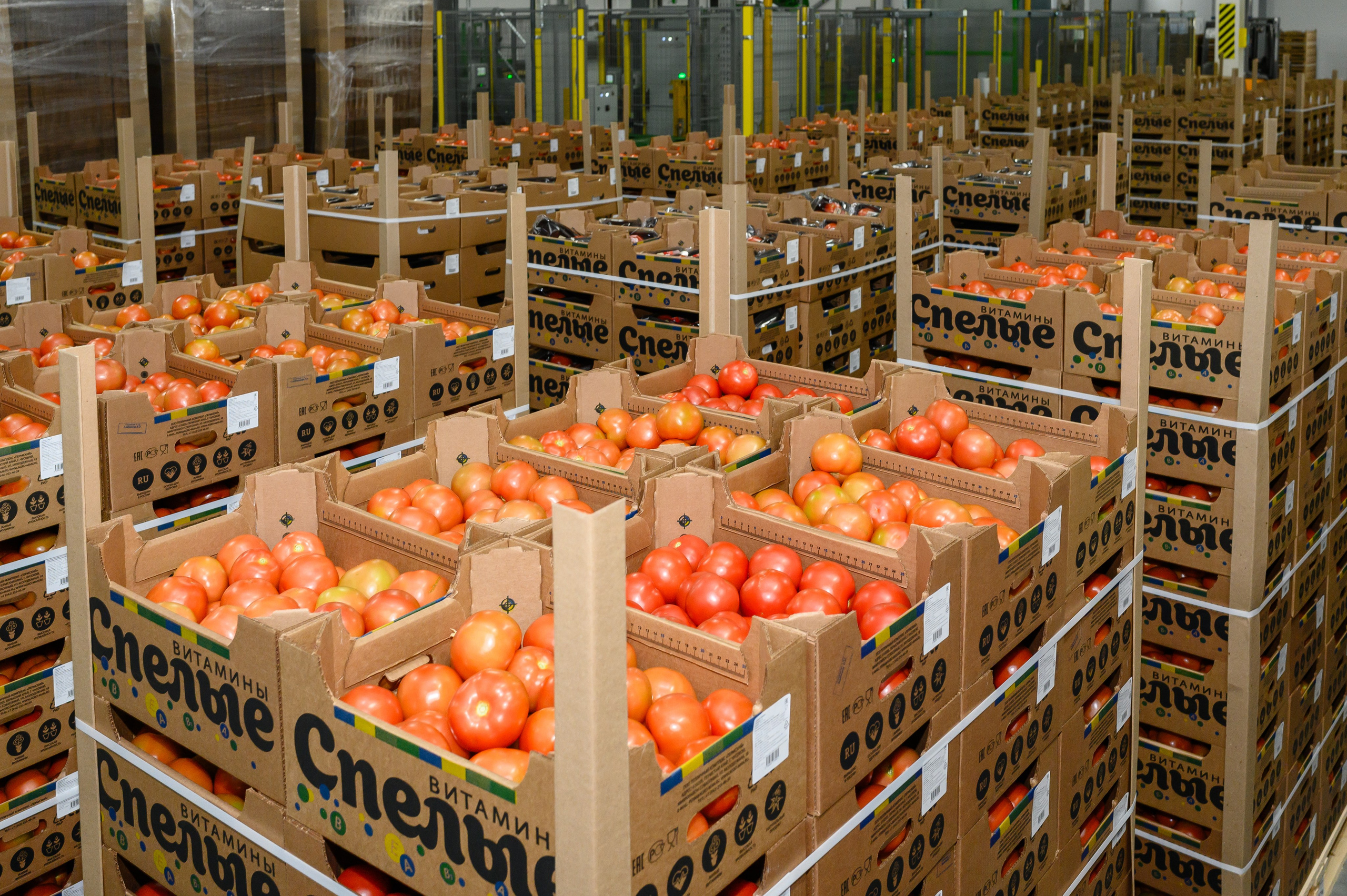 Тепличный комплекс «ПЕРМСКИЙ»