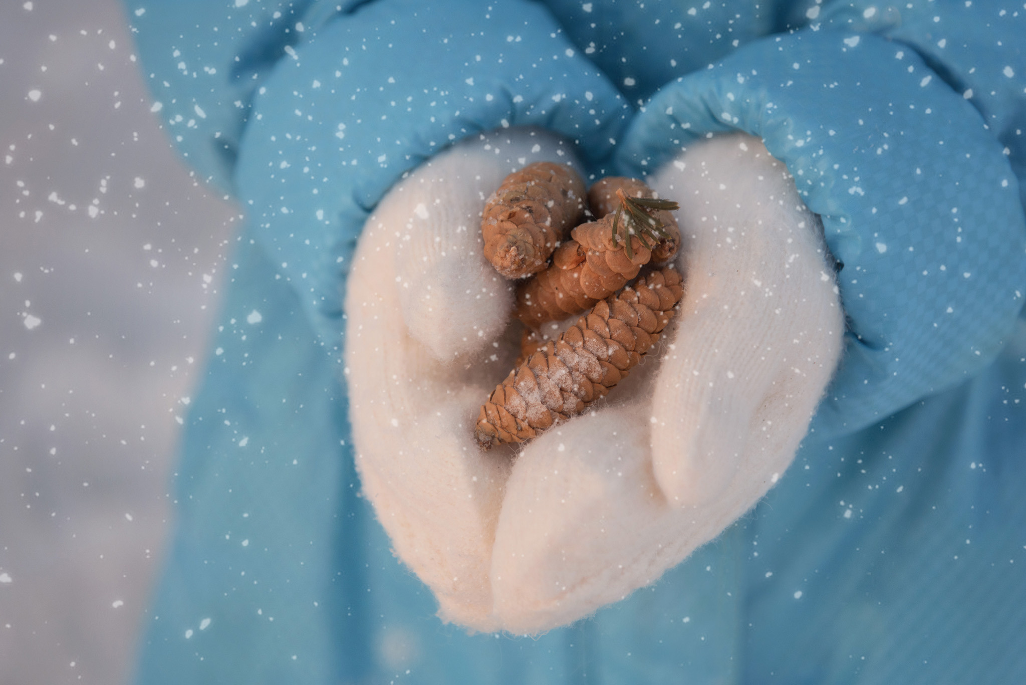 Дети. Фотограф в Новом Уренгое Бессонова Лилия