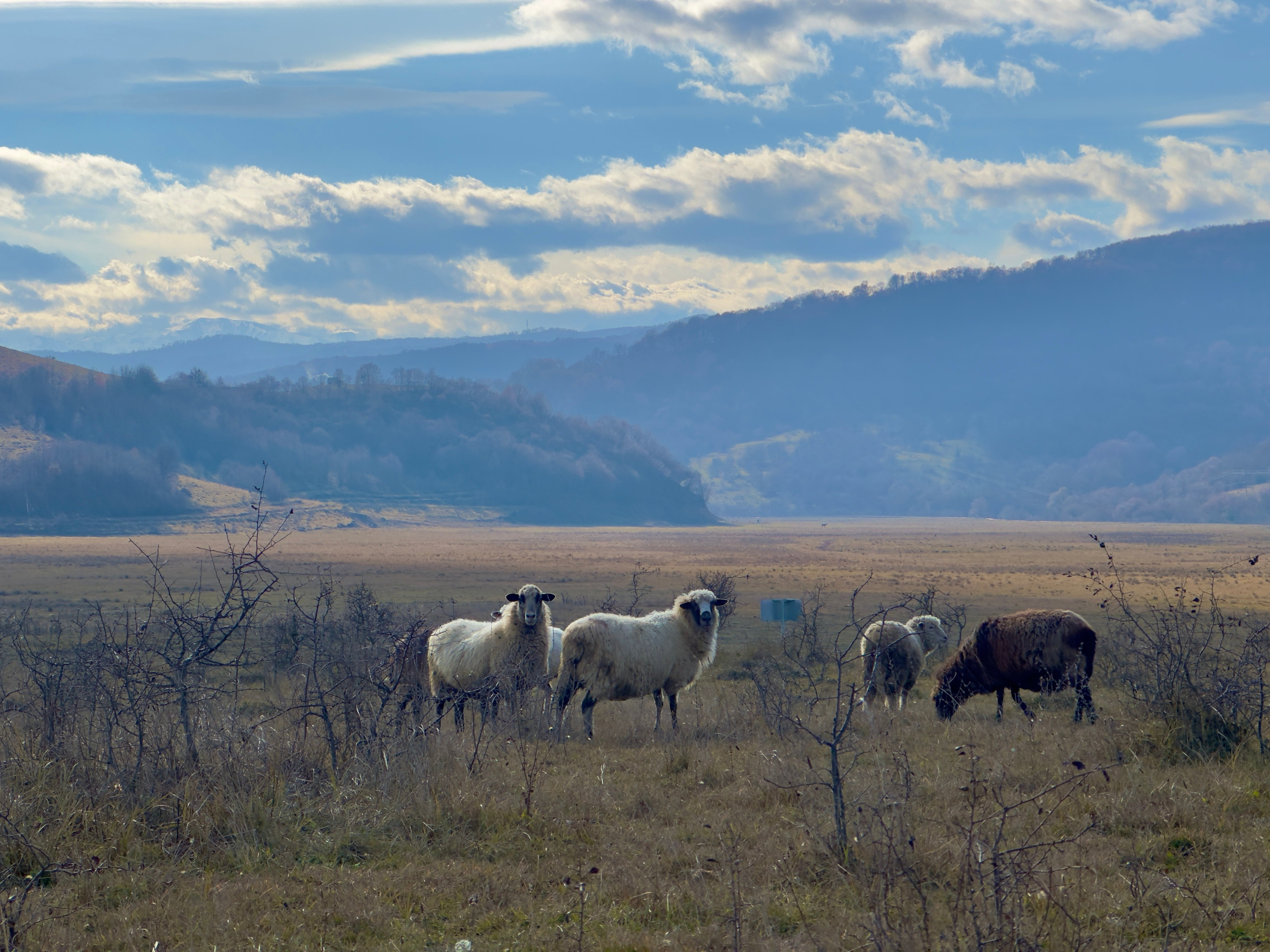 Пейзажи. Смотри, красота!
