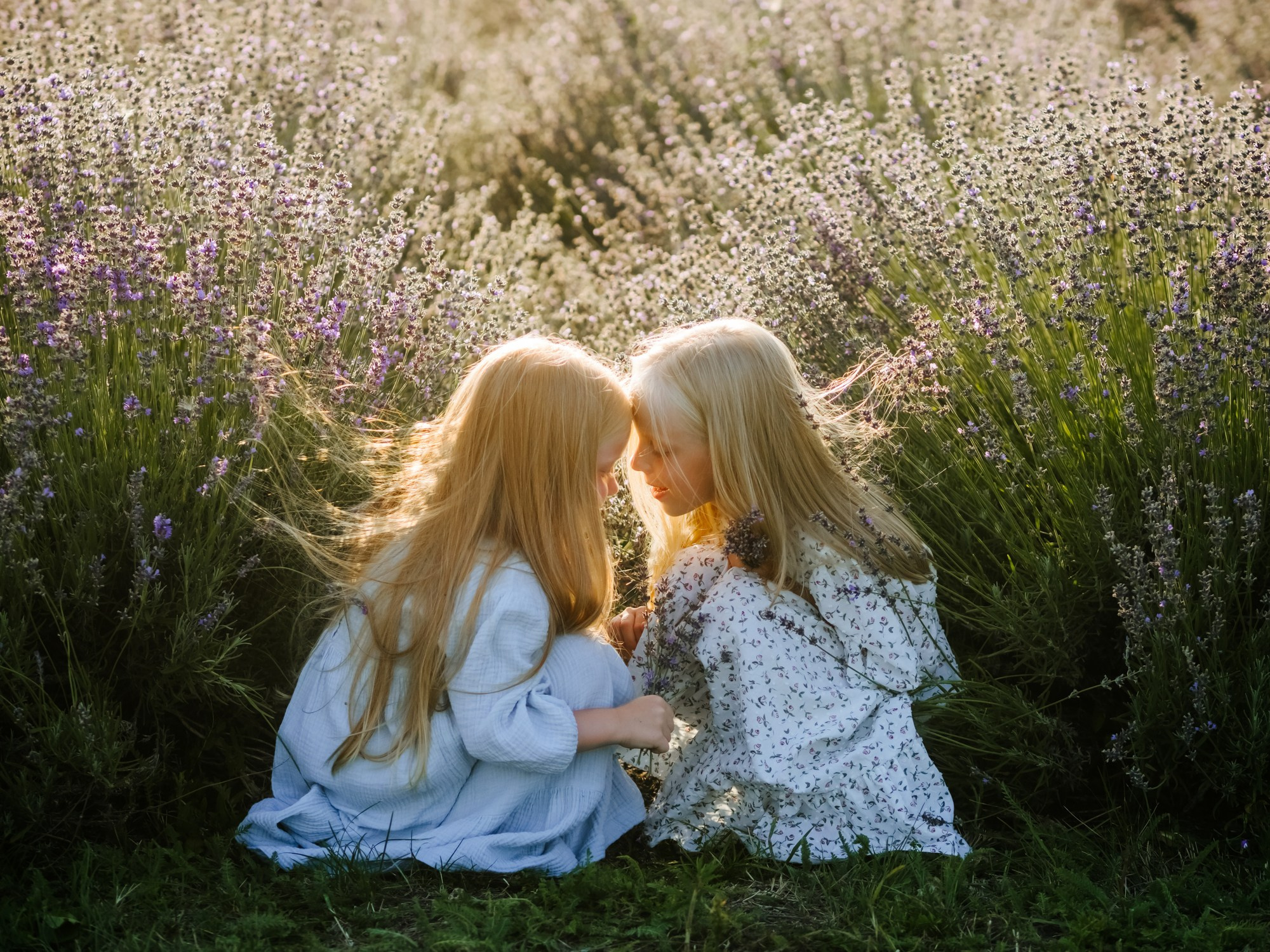 Лаванда. Семейный, детский, свадебный, фотограф в городе Анапа