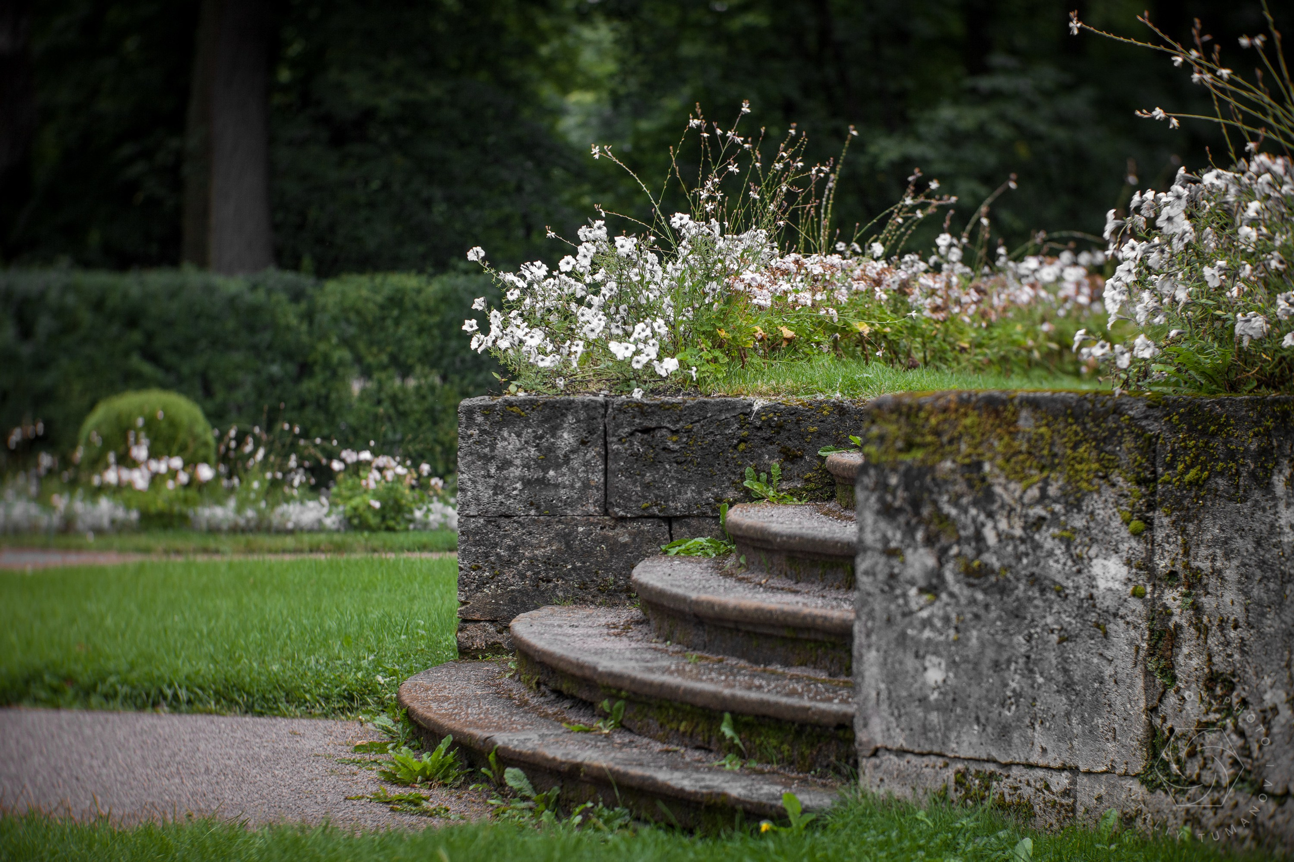 Ландшафтная фотография. Виталий Туманов — Ландшафтный фотограф