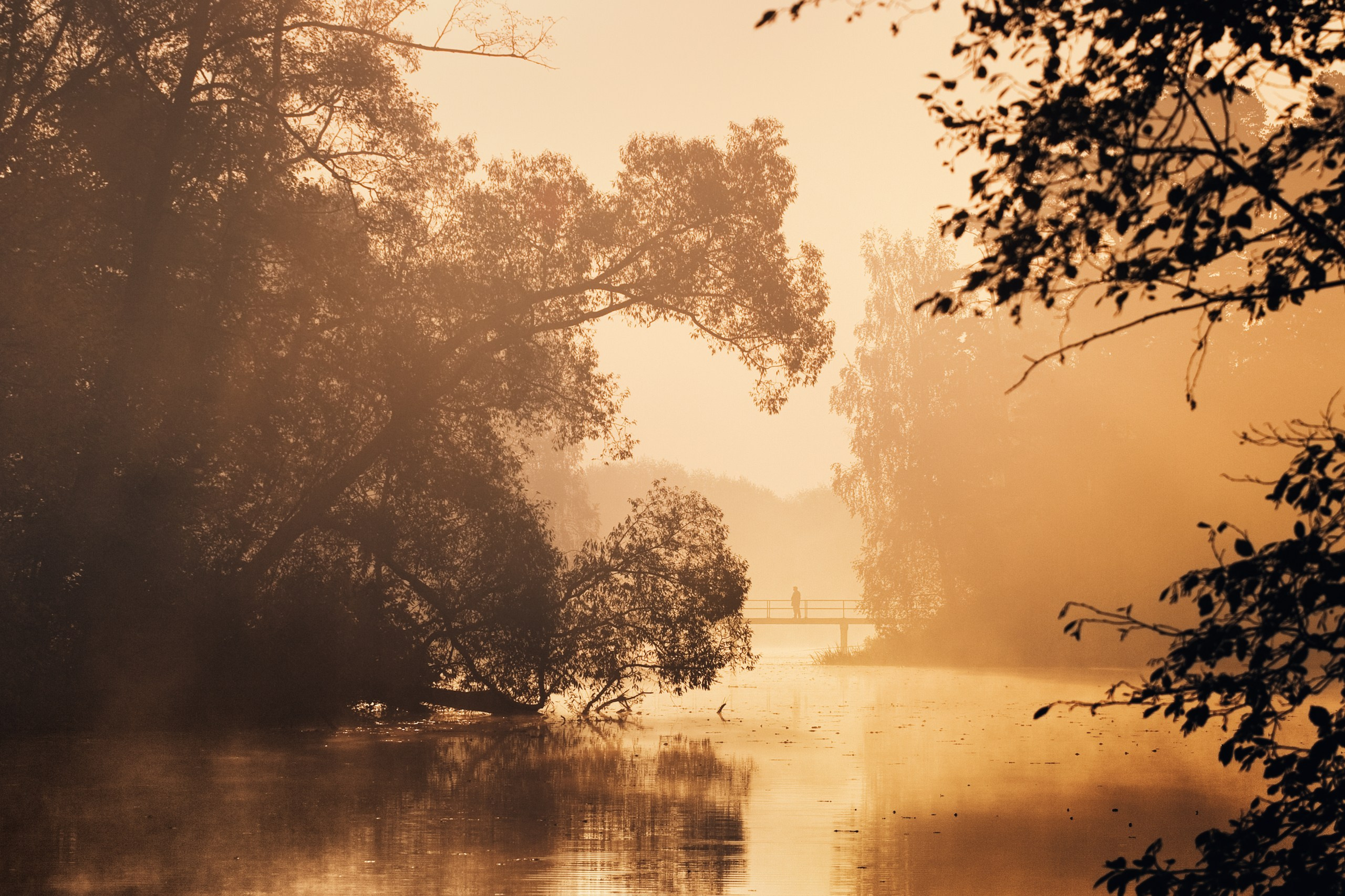 Фотограф Владимир Медведев