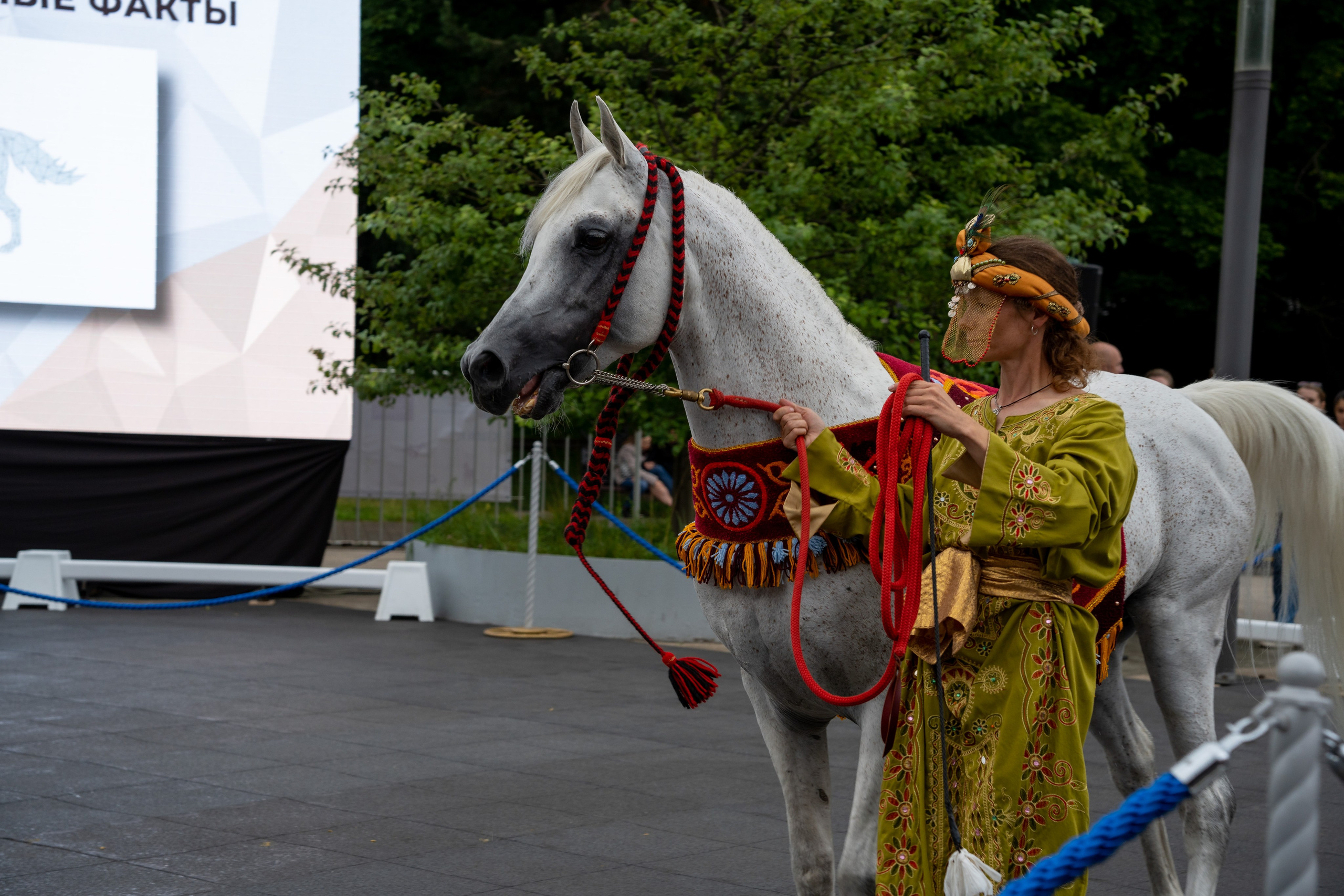 Животные. Фото, видео, монтаж