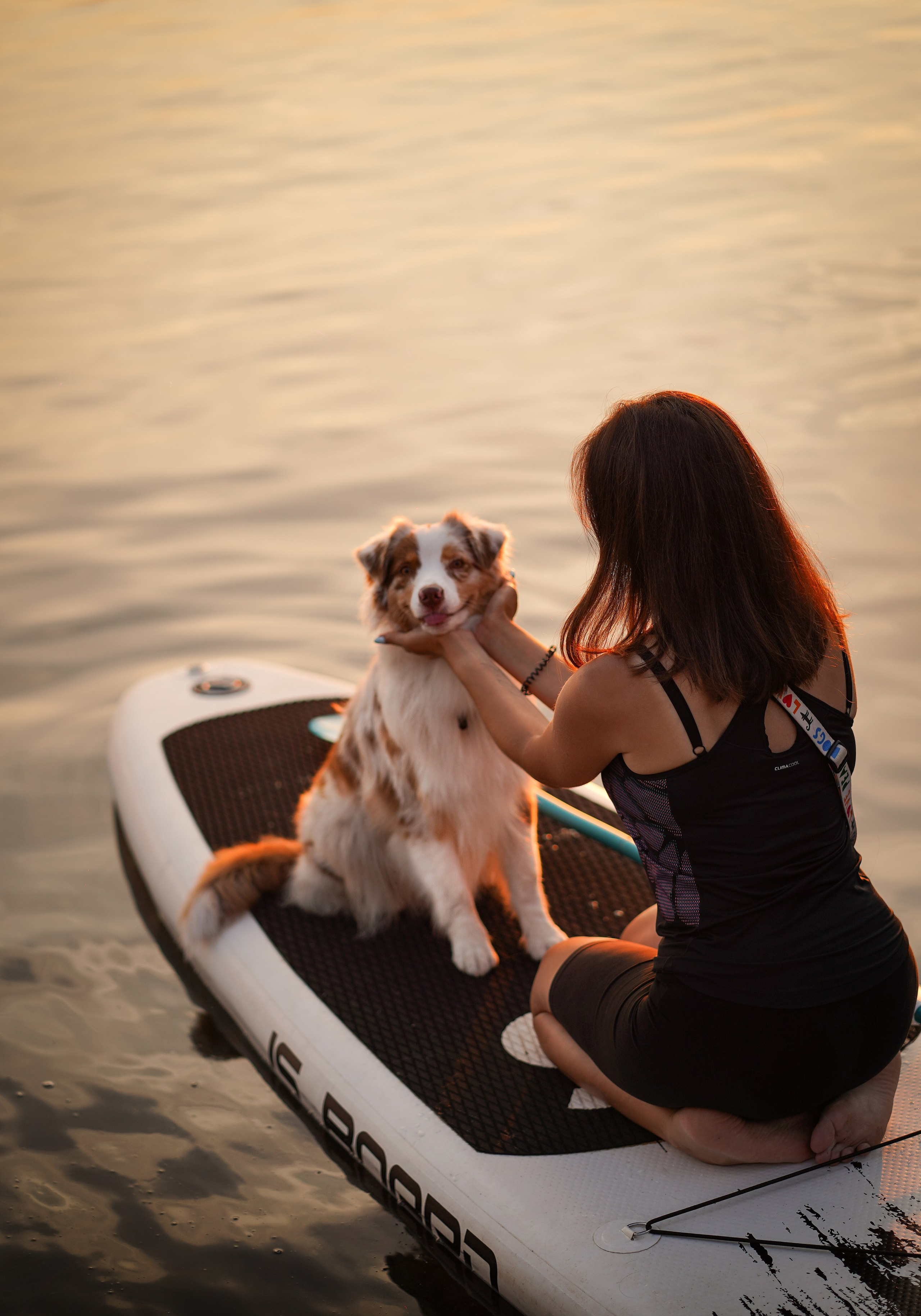 Панда SUP. Фотограф-анималист в Санкт-Петербурге Яна Мартынова