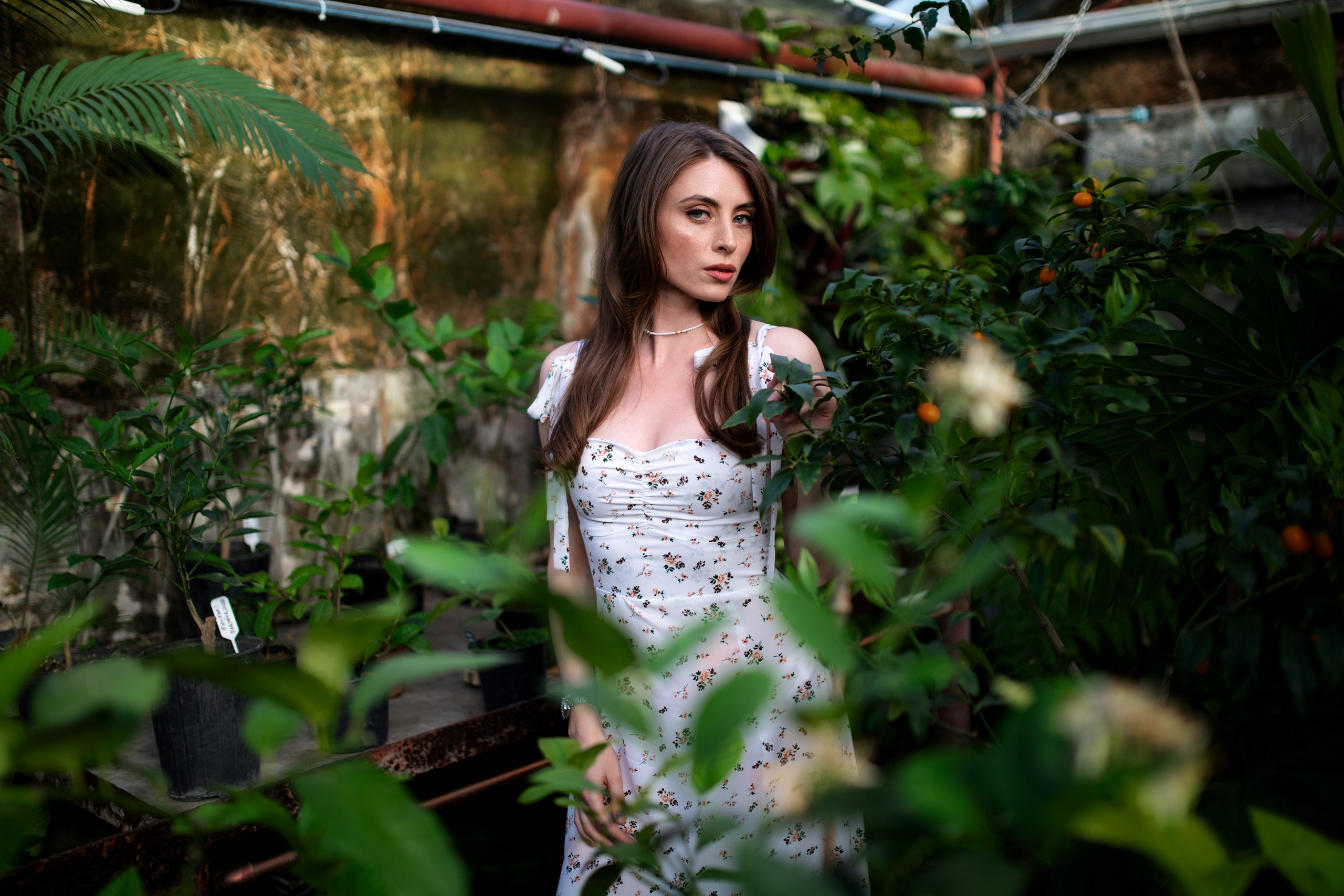 Фотосессия с Надеждой с люпинами в формате «для себя». Дмитрий Шульгин, портретный фотограф в Воронеже