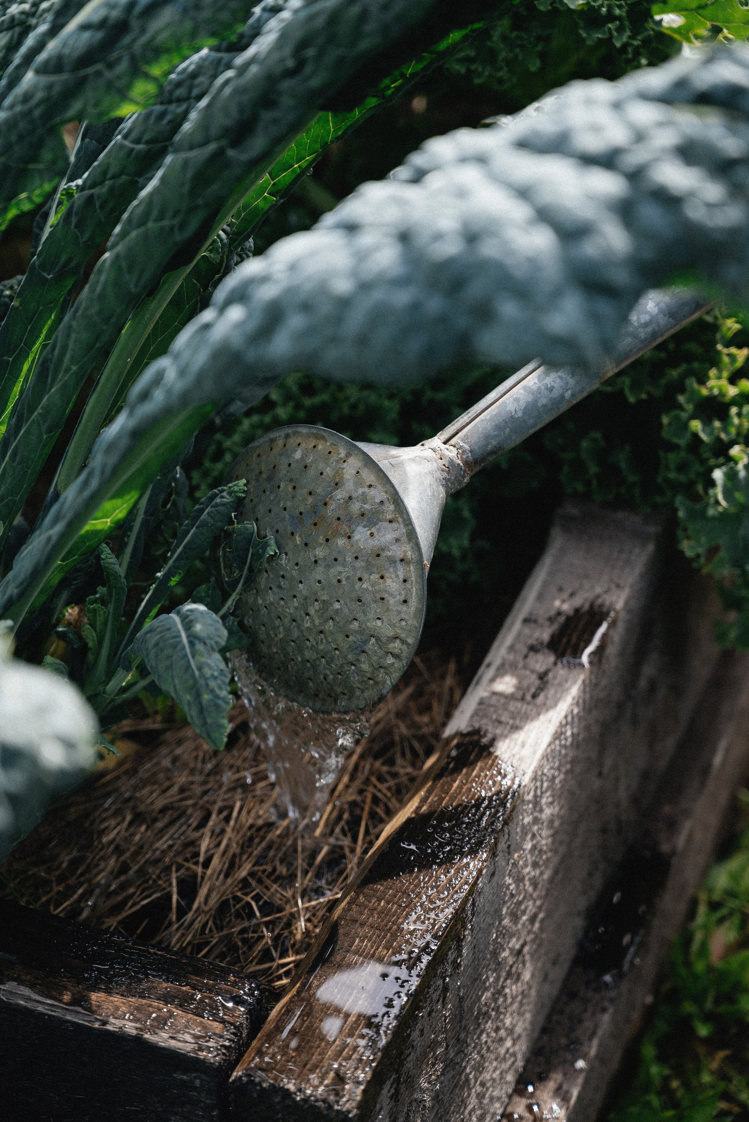 Саша. Тамара Власова