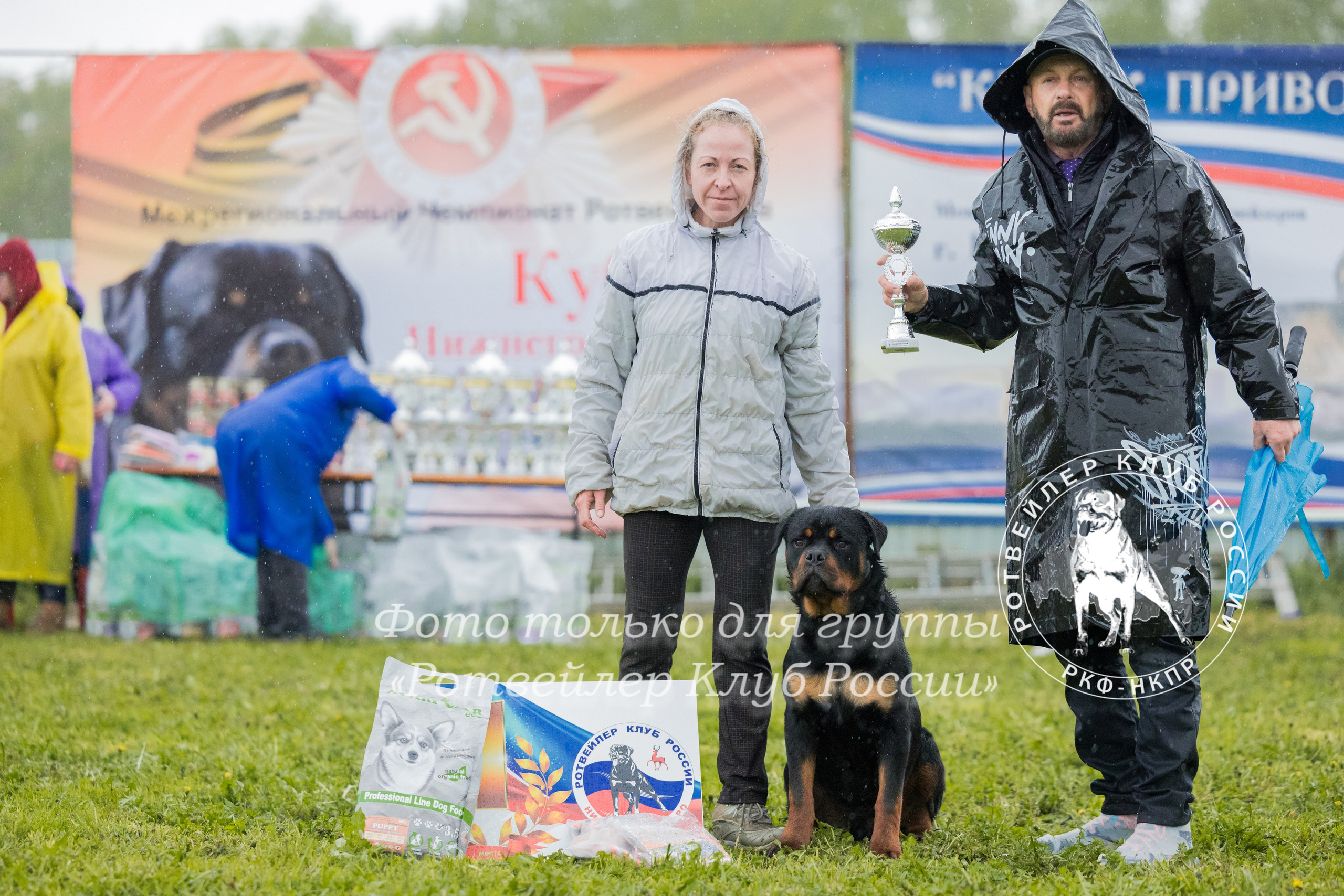 Нижний Новгород 2хмоно ротвейлеров 10-11.05.2025. Фотограф-анималист Юлия Германика