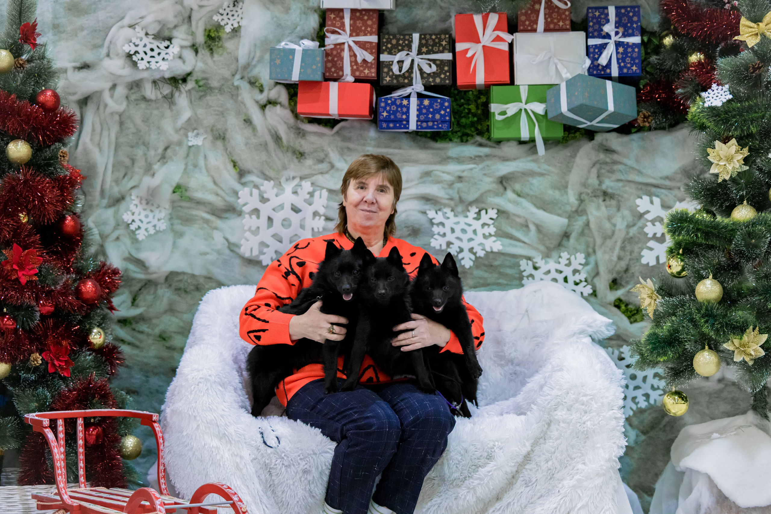 Крокус 3,9 и 10.12.2023. Фотограф-анималист Юлия Германика