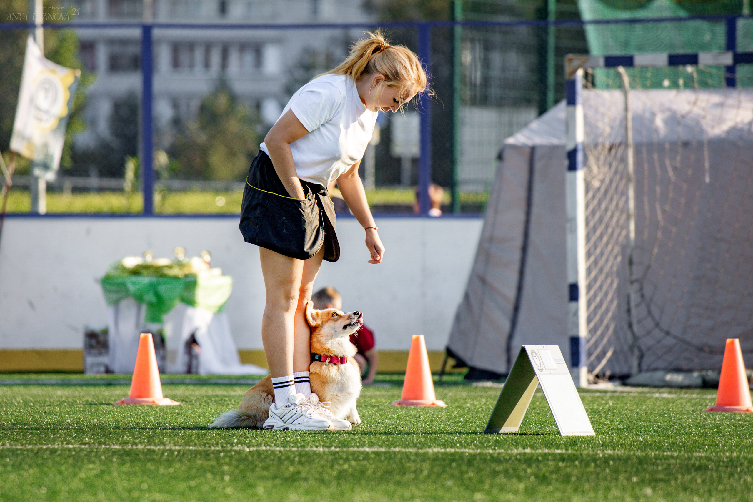 Ралли обидиенс. Фотограф анималист Аня Ливанова | Рыбинск