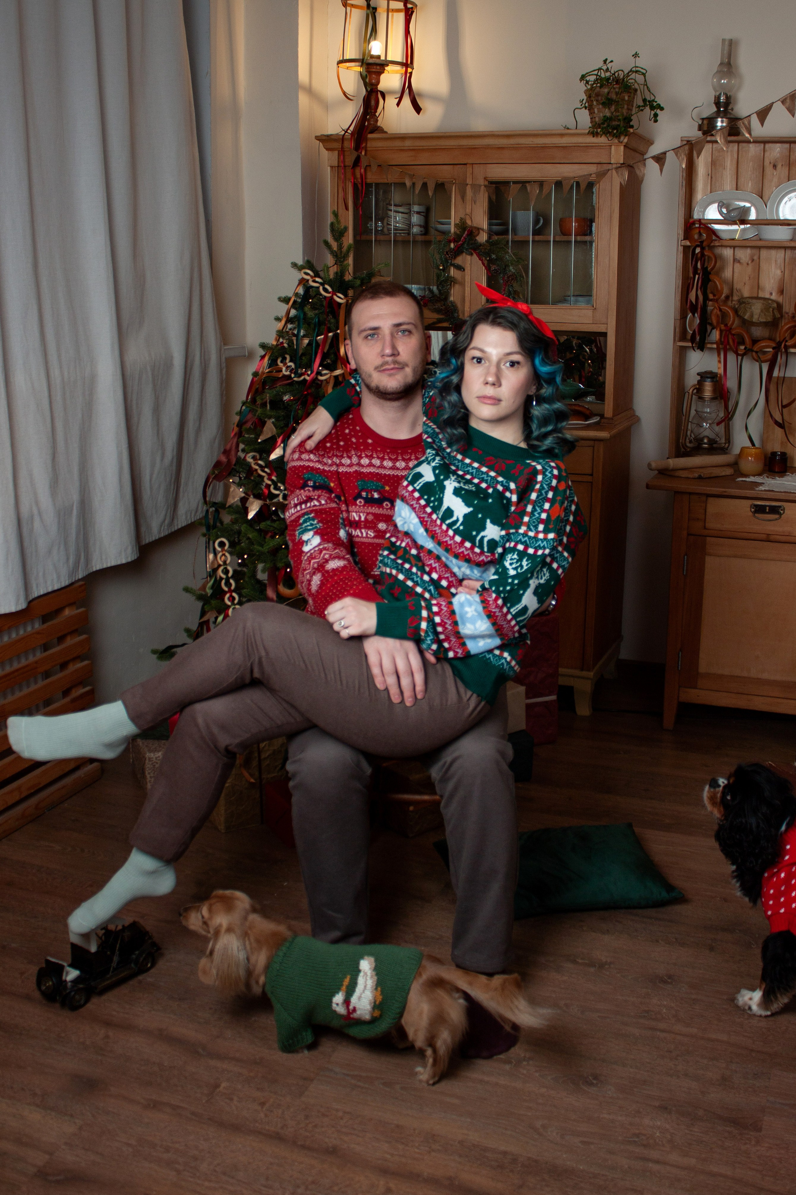 Новогодние собаки. Фотограф в Санкт-Петербурге Рейдер Дарья