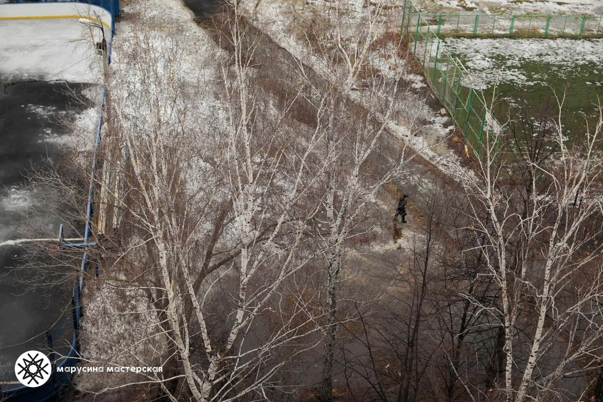 Светлана Макурина