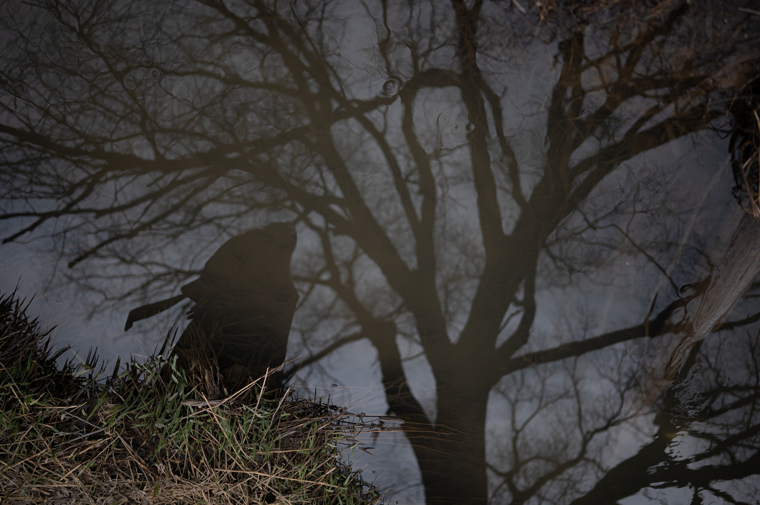 Художественная фотография о природе и внутреннем состоянии