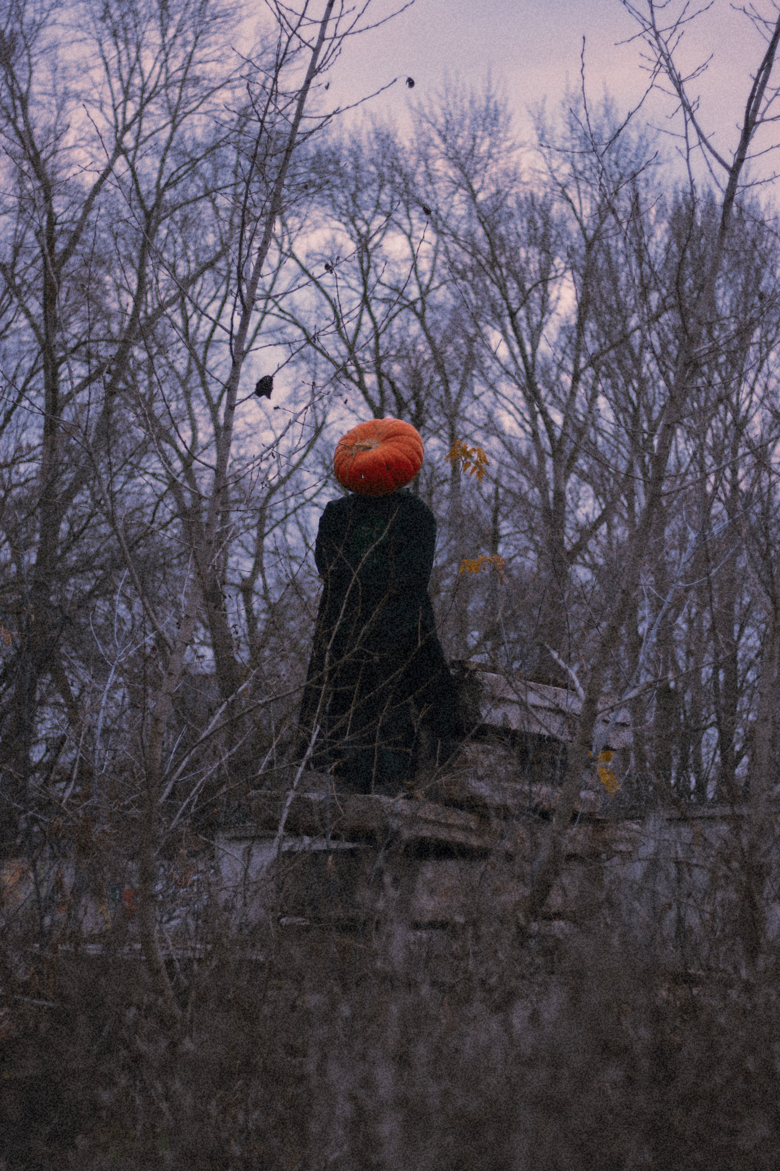 Проект «тыквоголовые». Фотограф Удмуртия