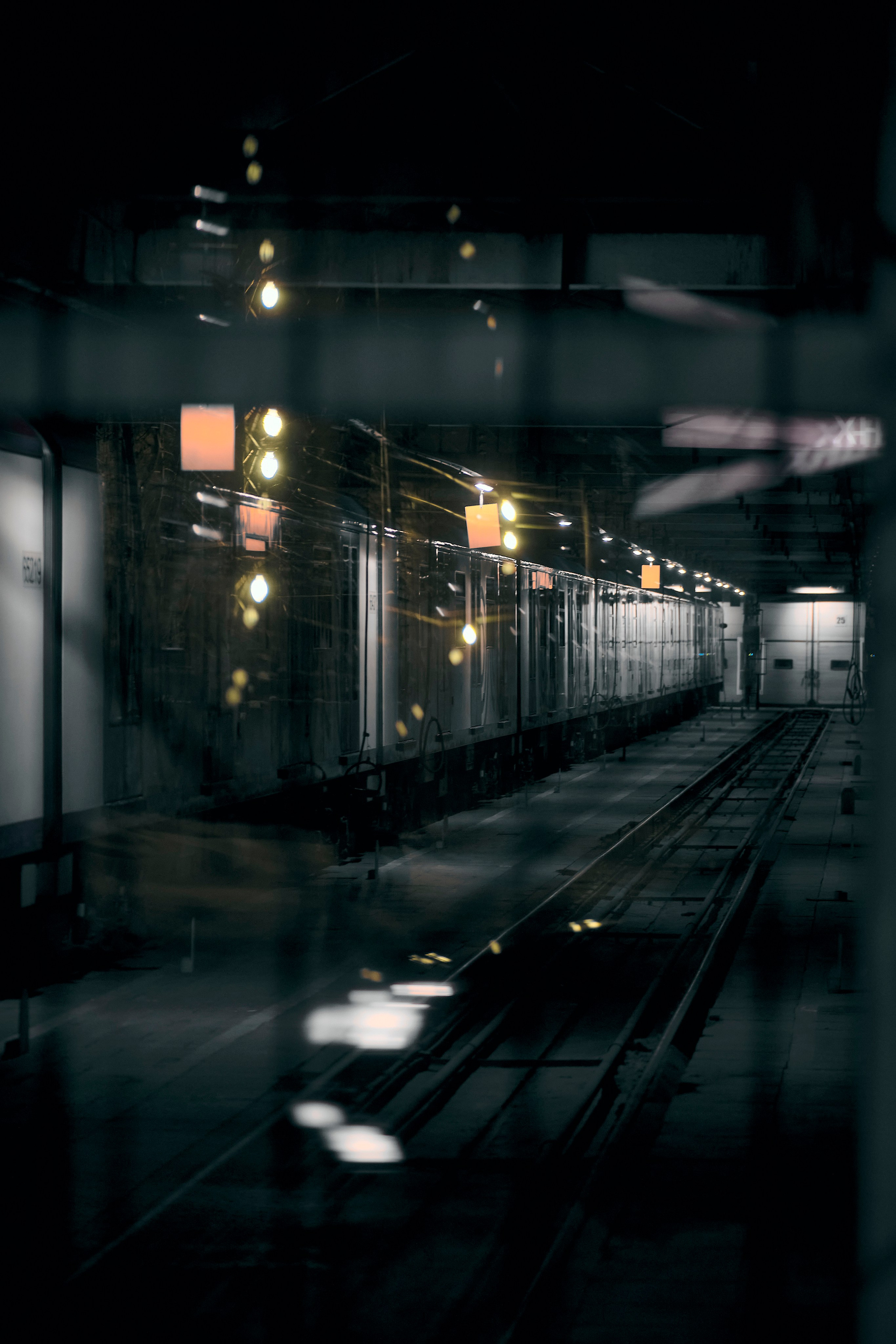 Other. Dmitry Ippolitov