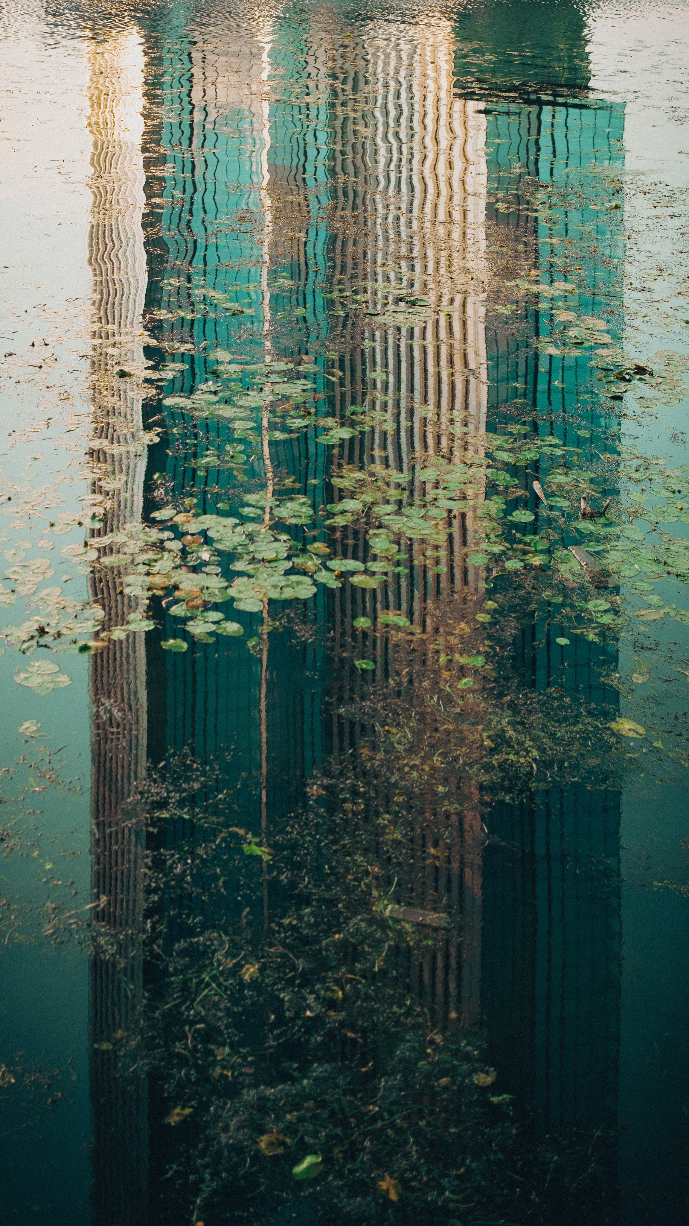 Other. Dmitry Ippolitov