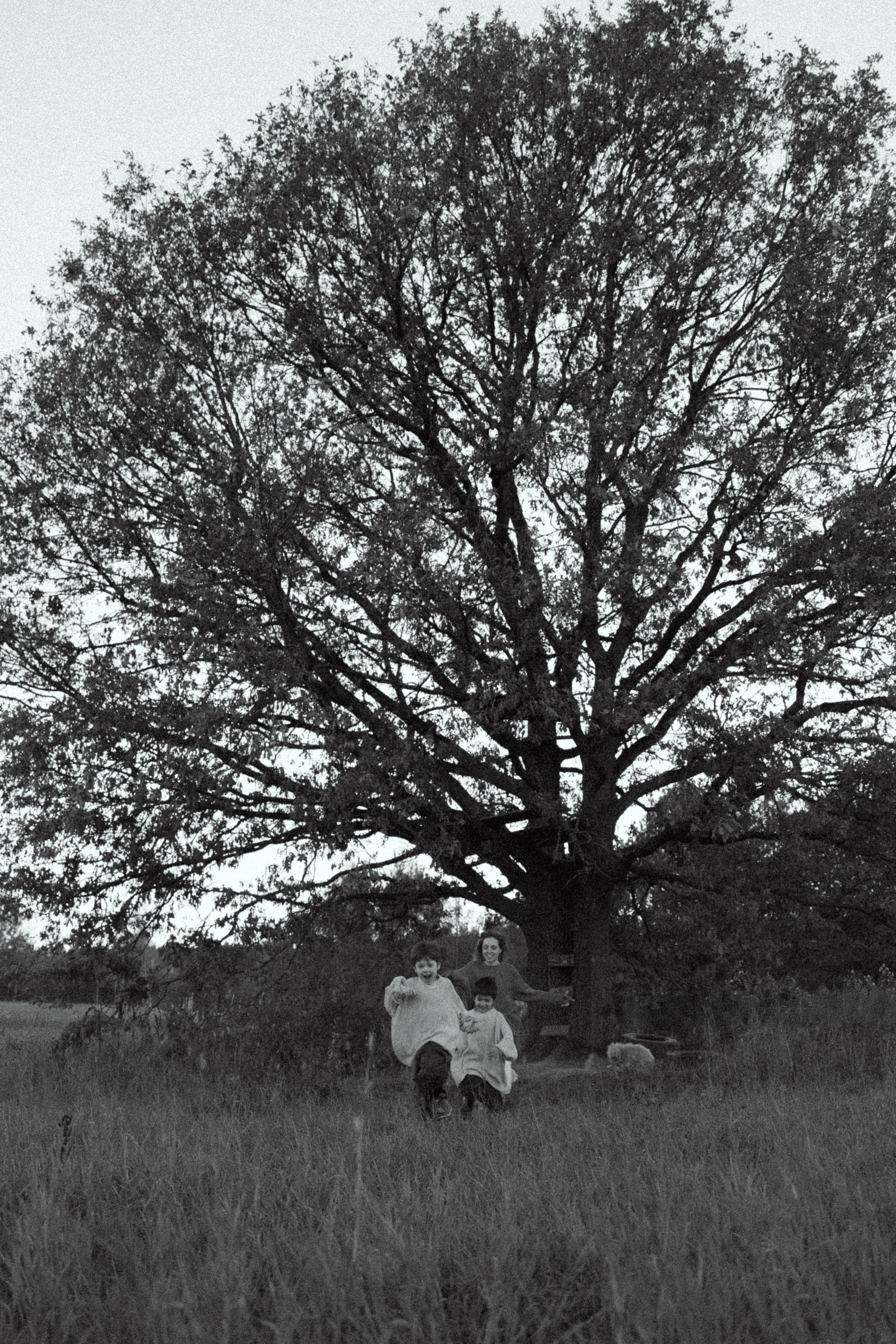 Домик на дереве. Семейный фотограф Москва Юлиана Фетисова