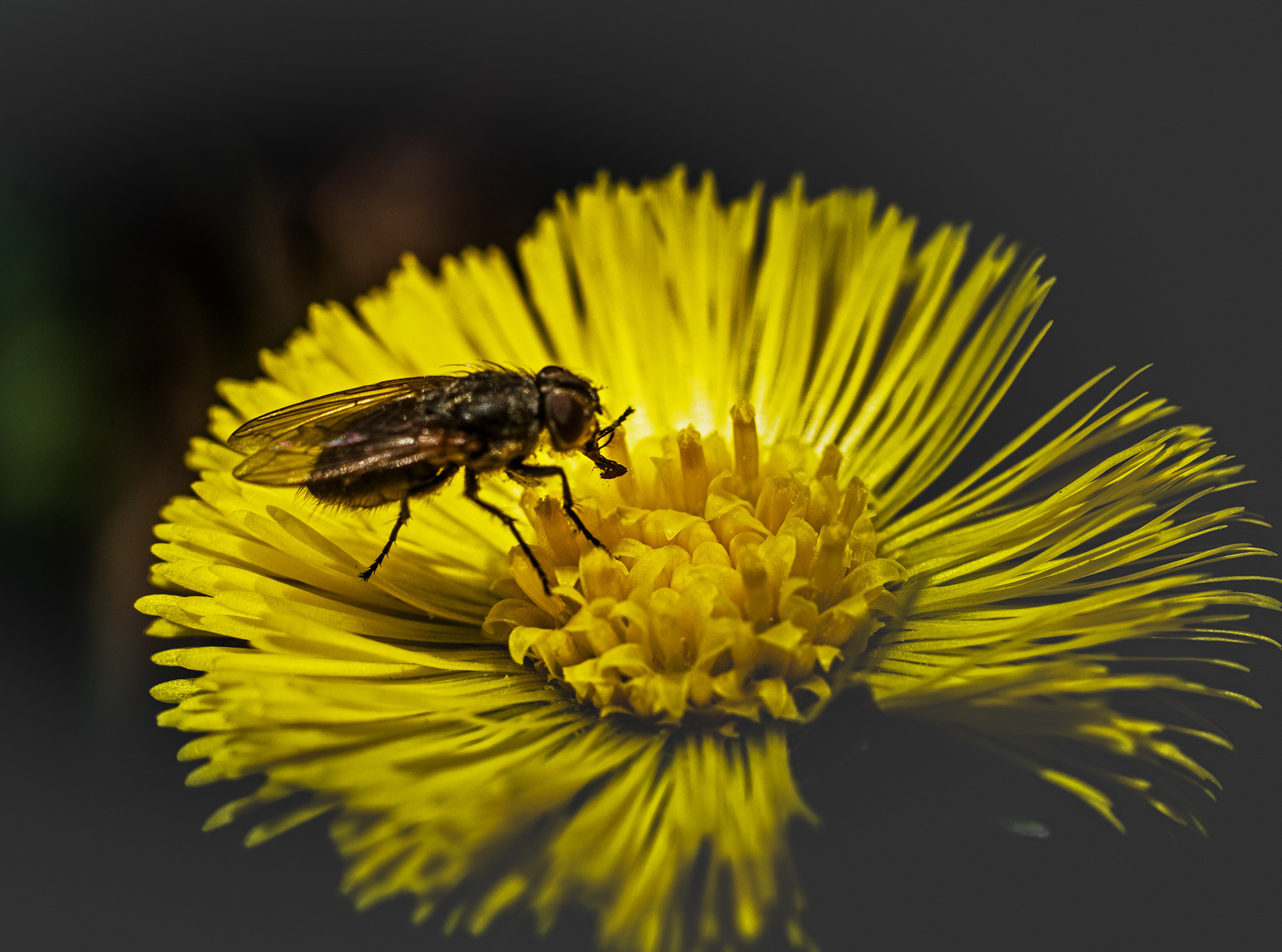 Макро. Обо всём