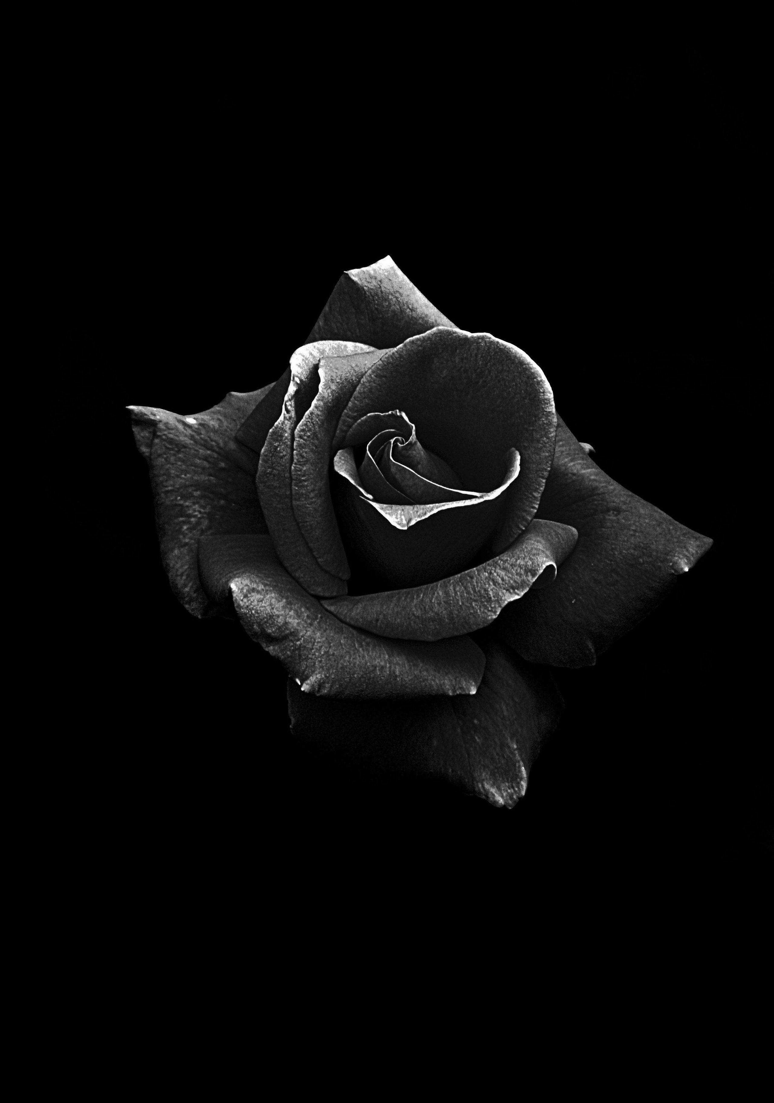 Чёрное белое. Обо всём