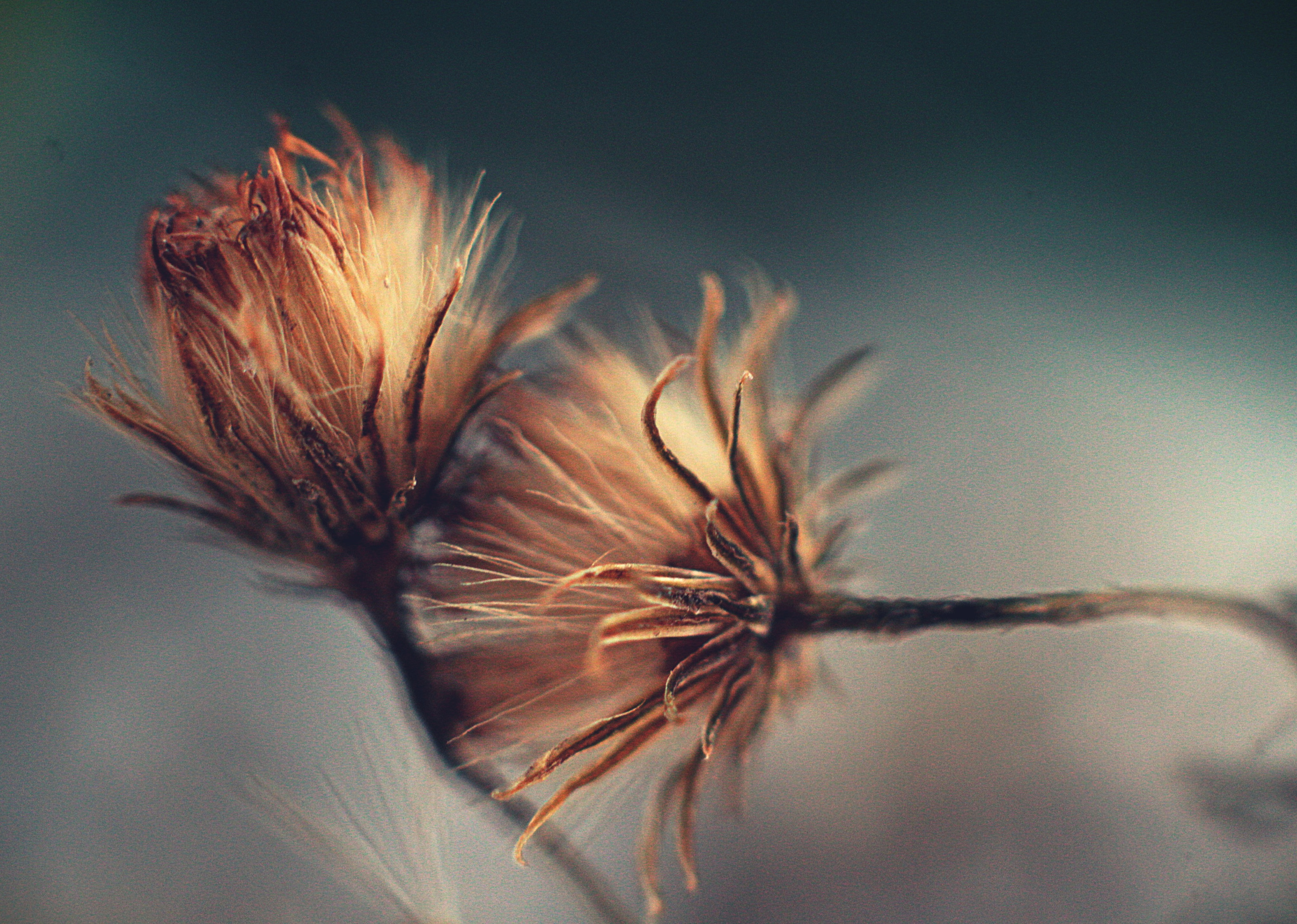 Макро. Обо всём