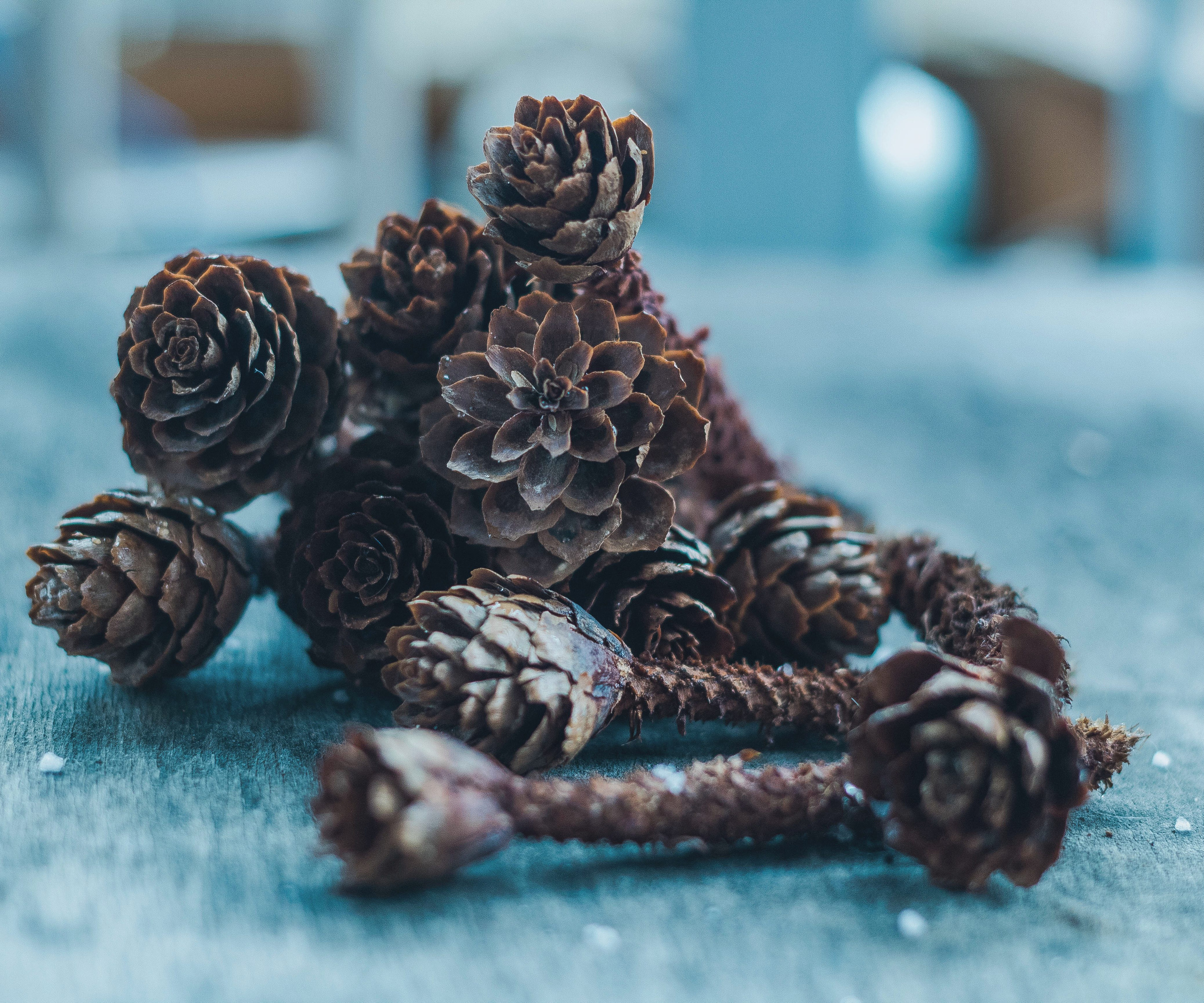 Природное. Обо всём