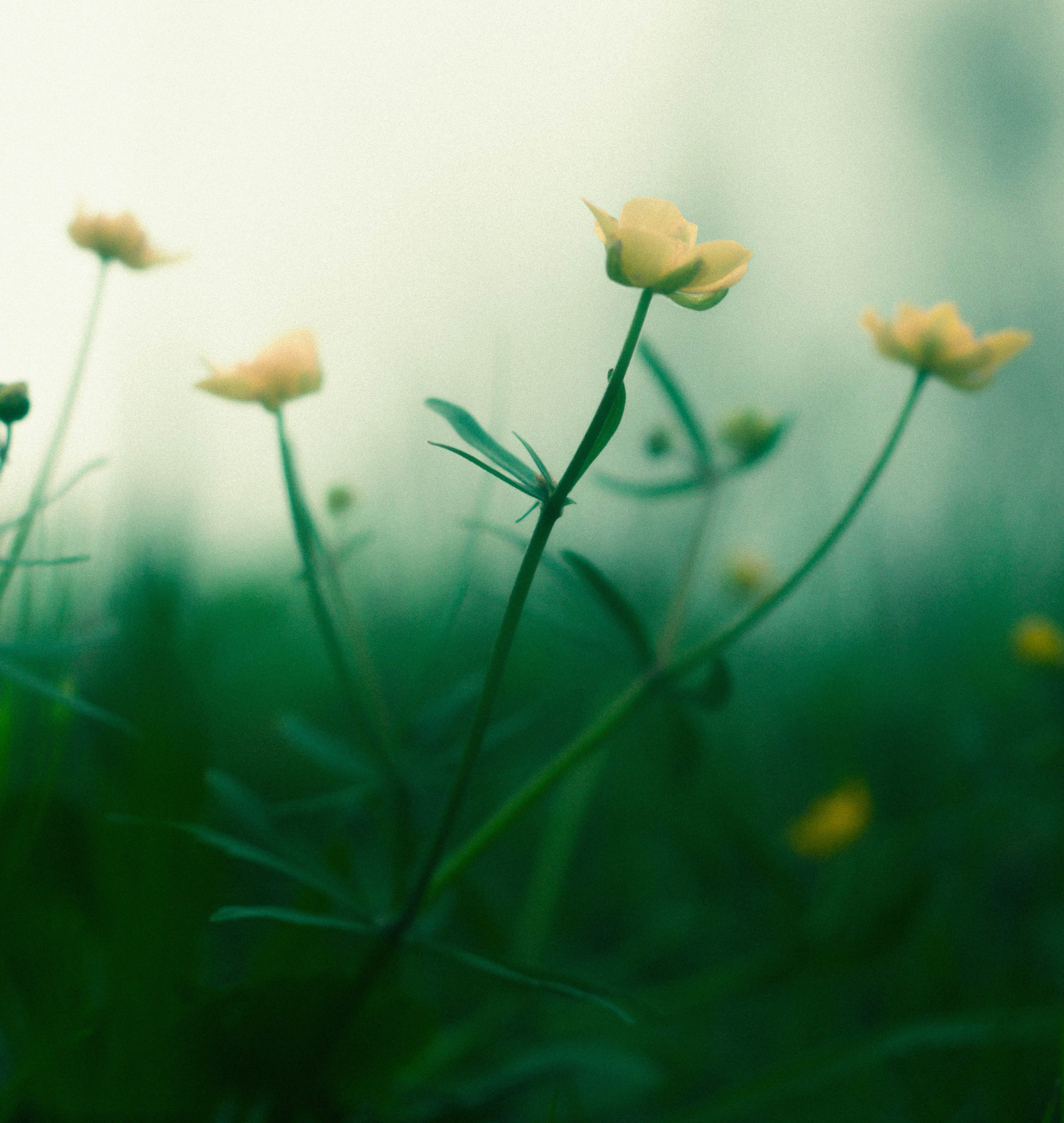 Природное. Обо всём