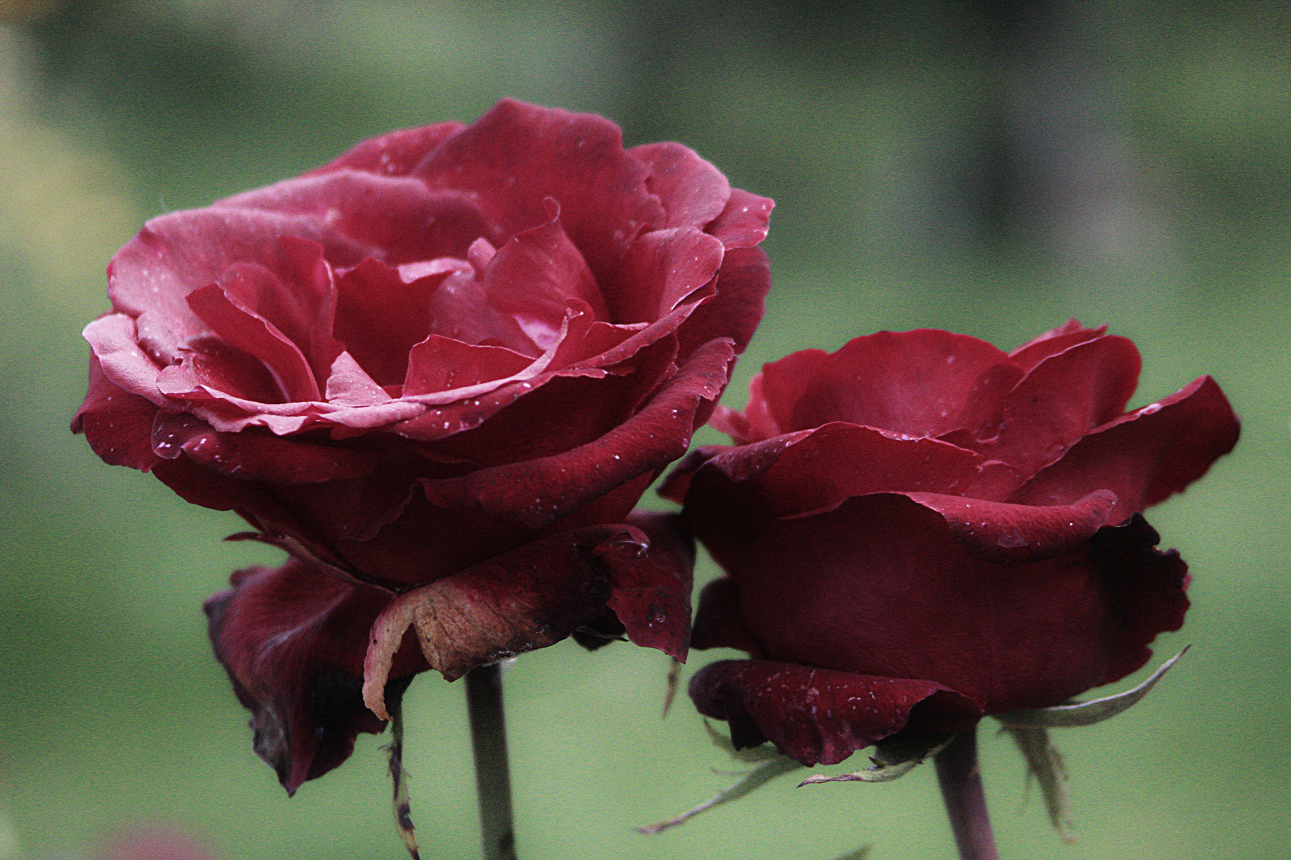 Природное. Обо всём