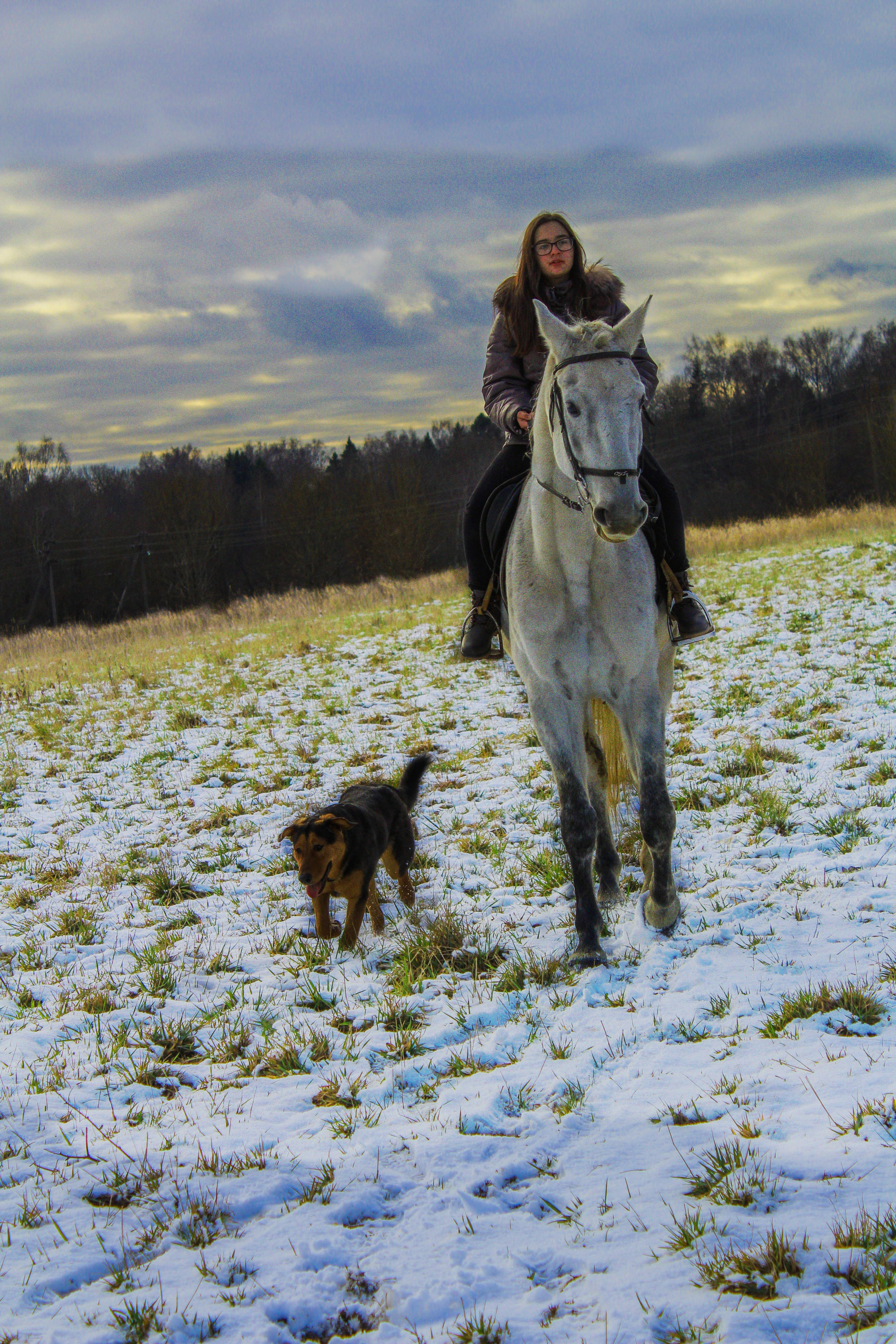 Жизнь. Обо всём