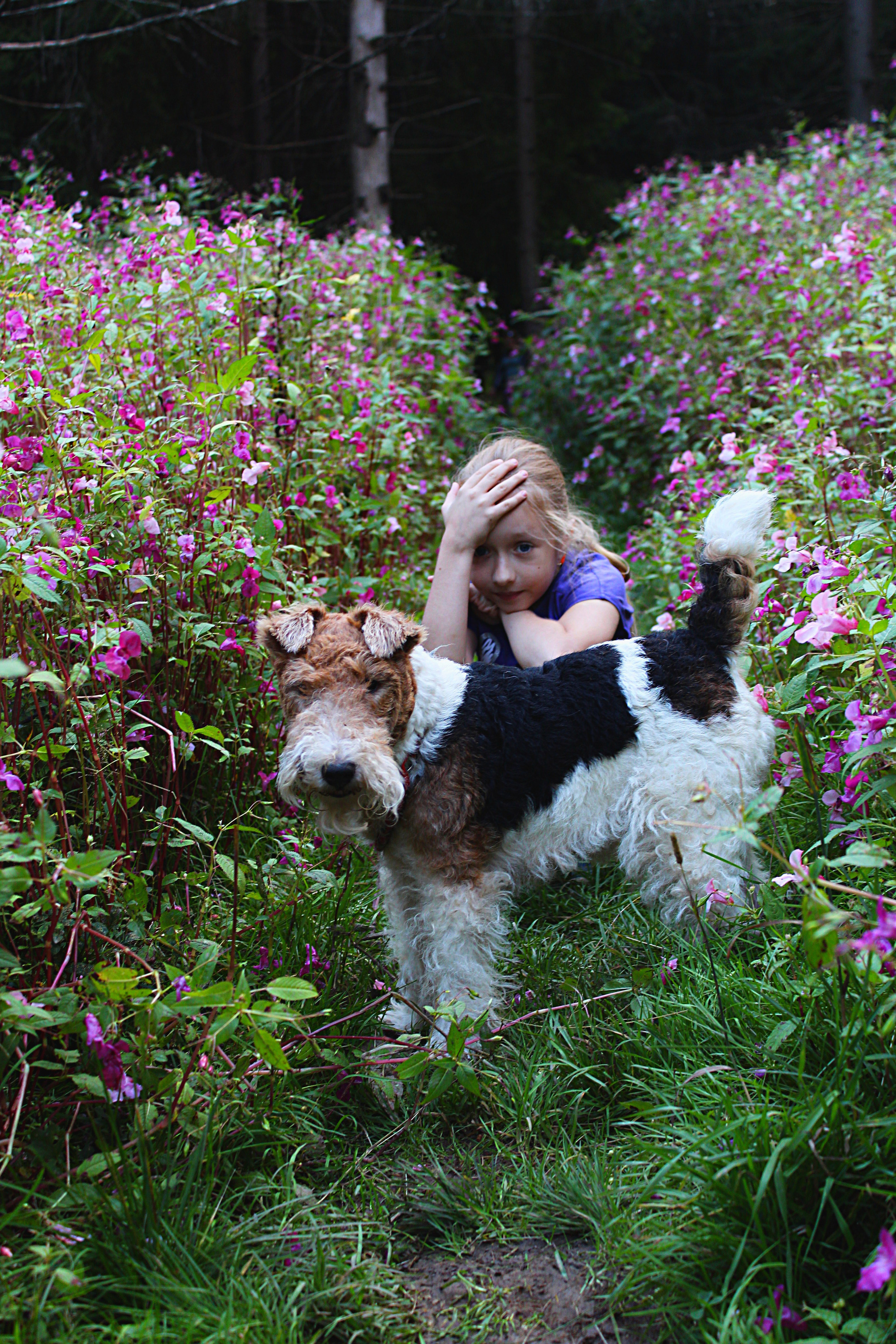 Дружба. Обо всём