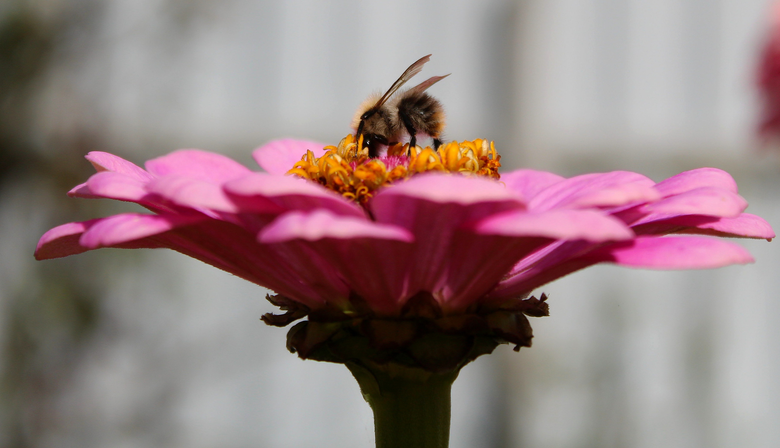 Макро. Обо всём