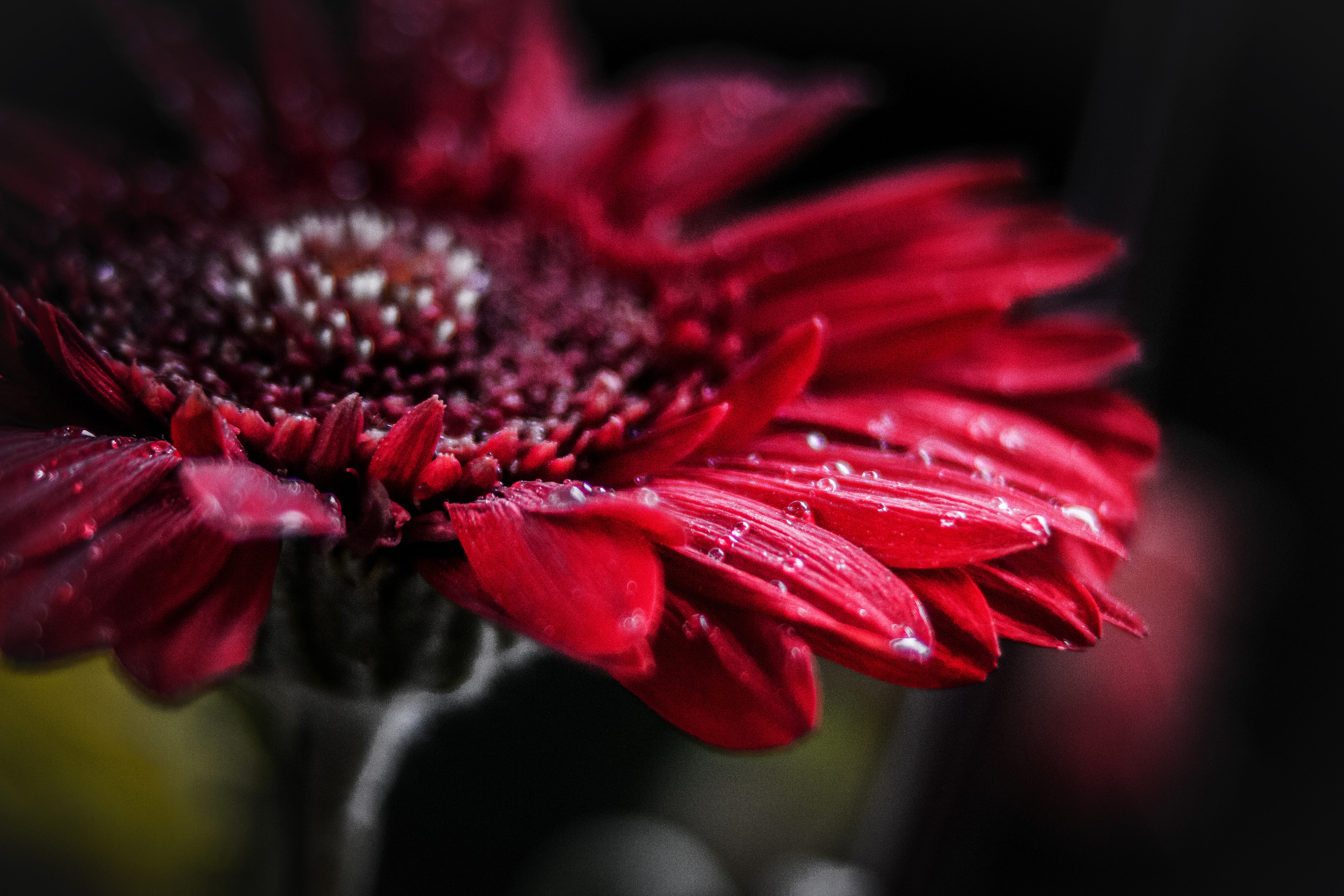 Макро. Обо всём