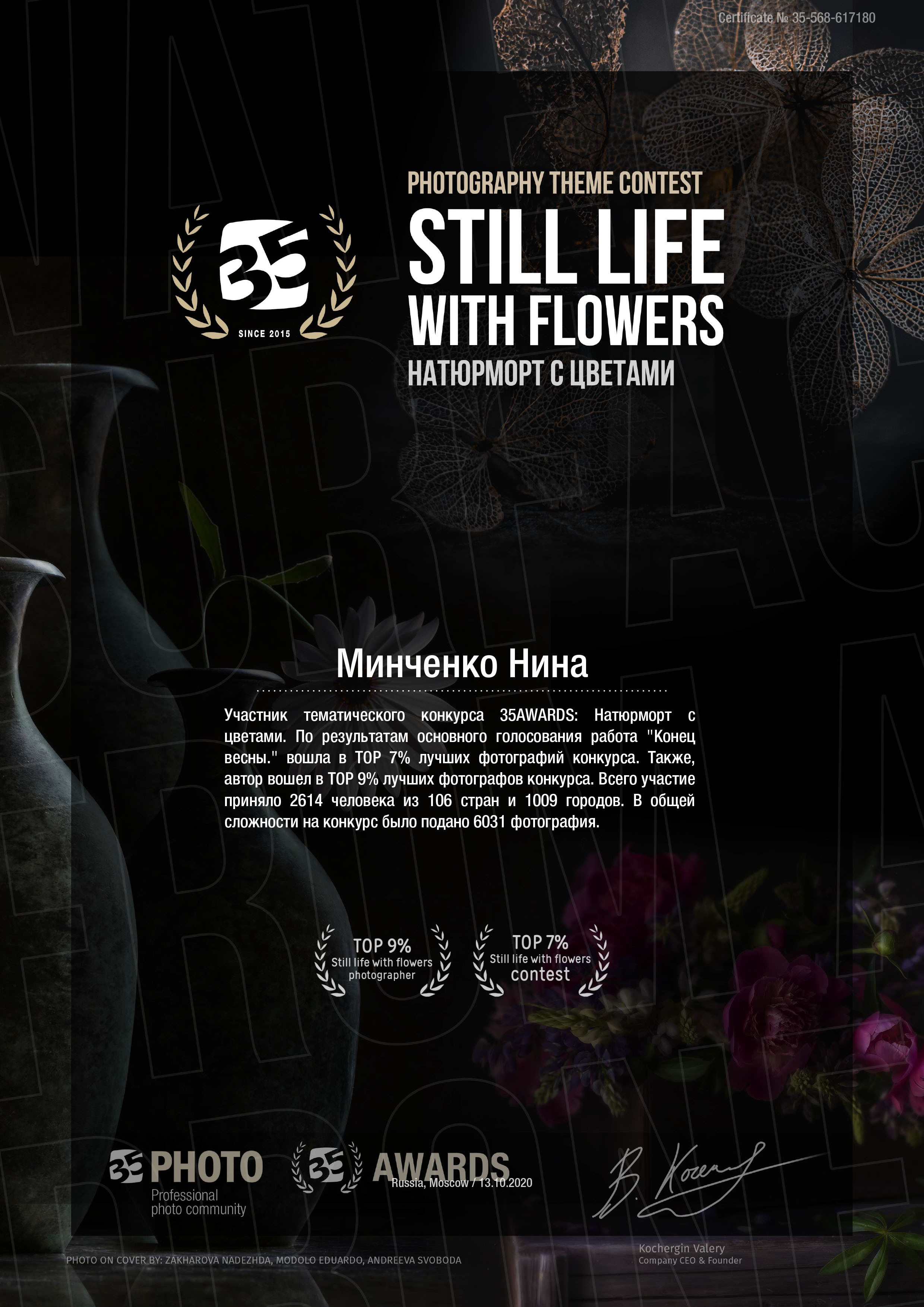 Мои достижения. Обо всём