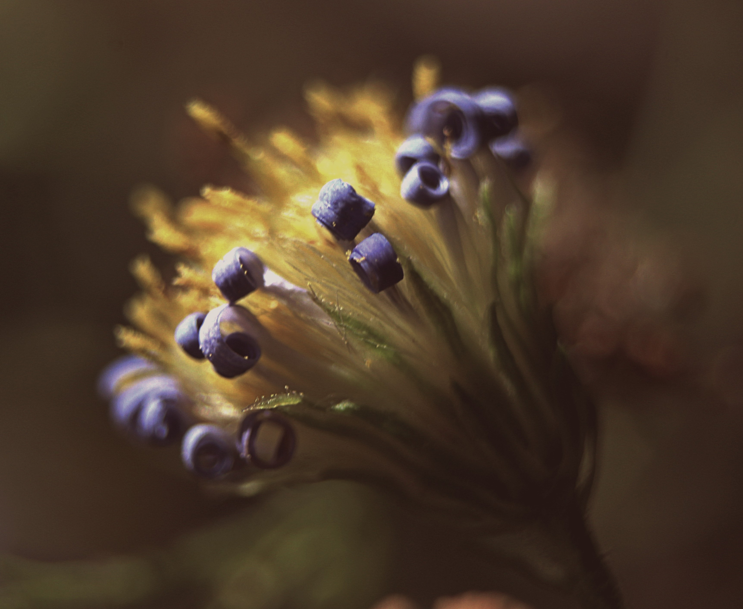 Макро. Обо всём