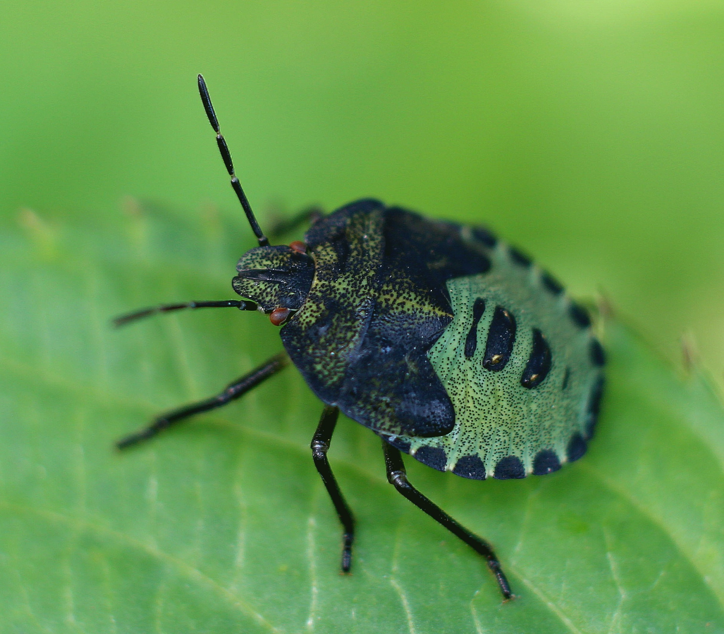 Макро. Обо всём