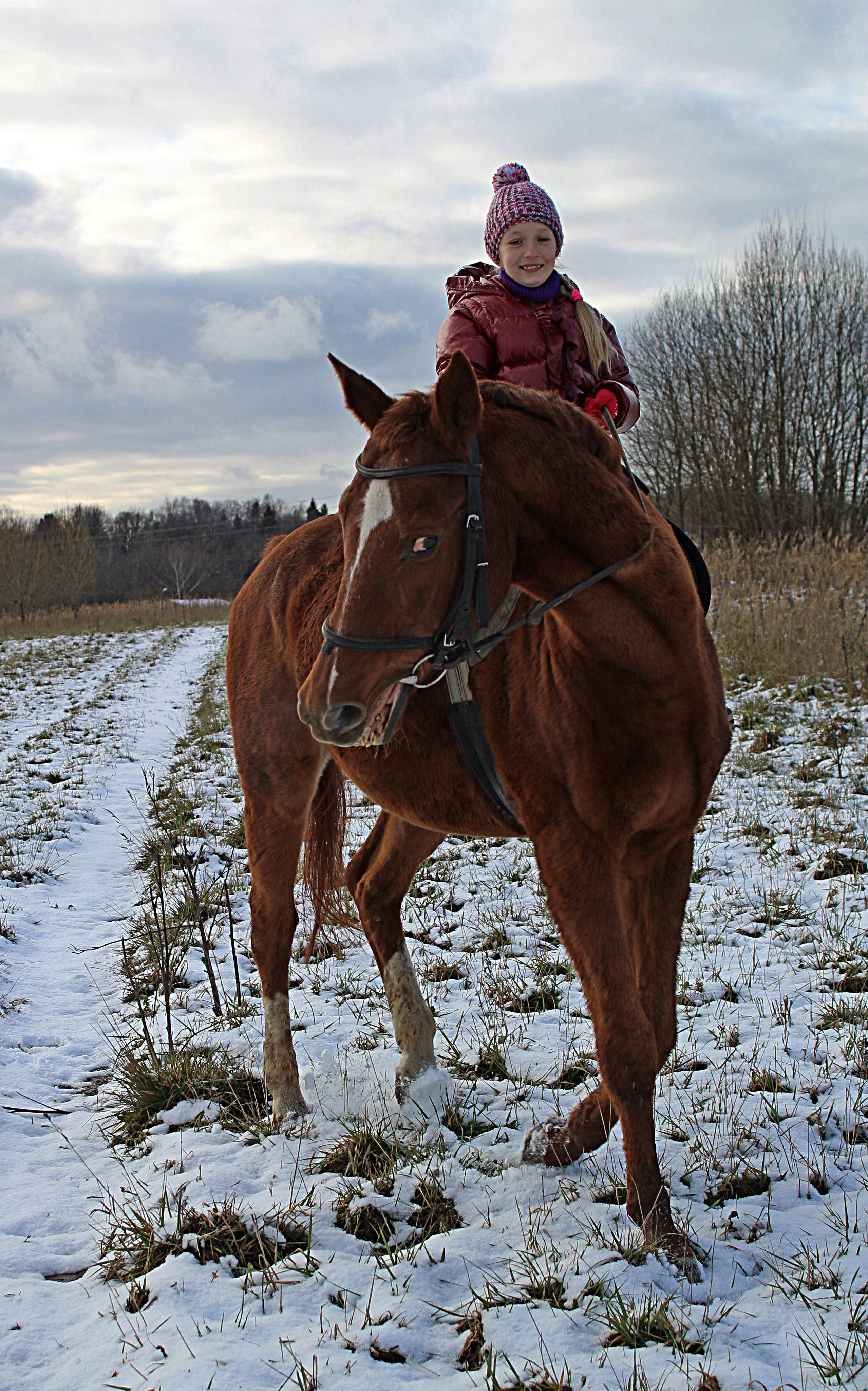 Жизнь. Обо всём
