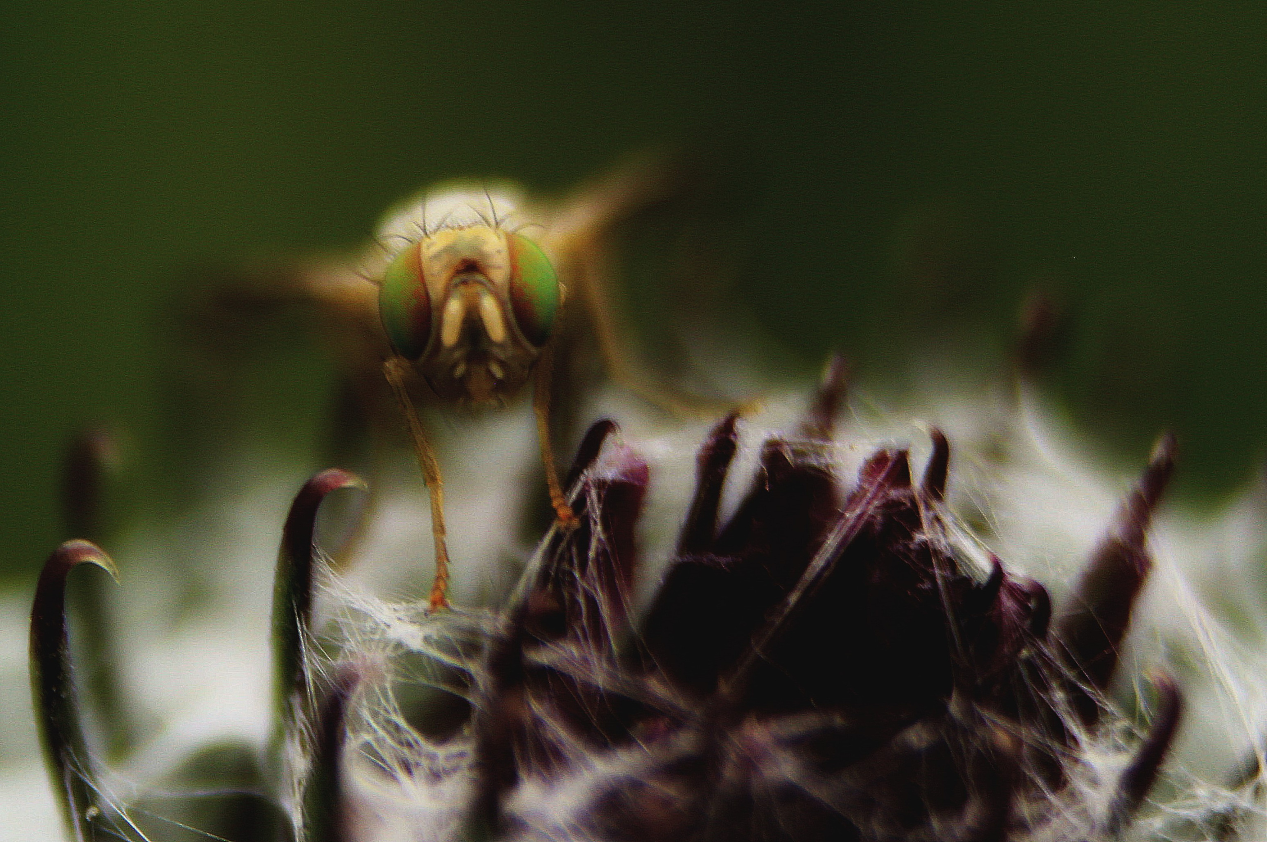 Макро. Обо всём