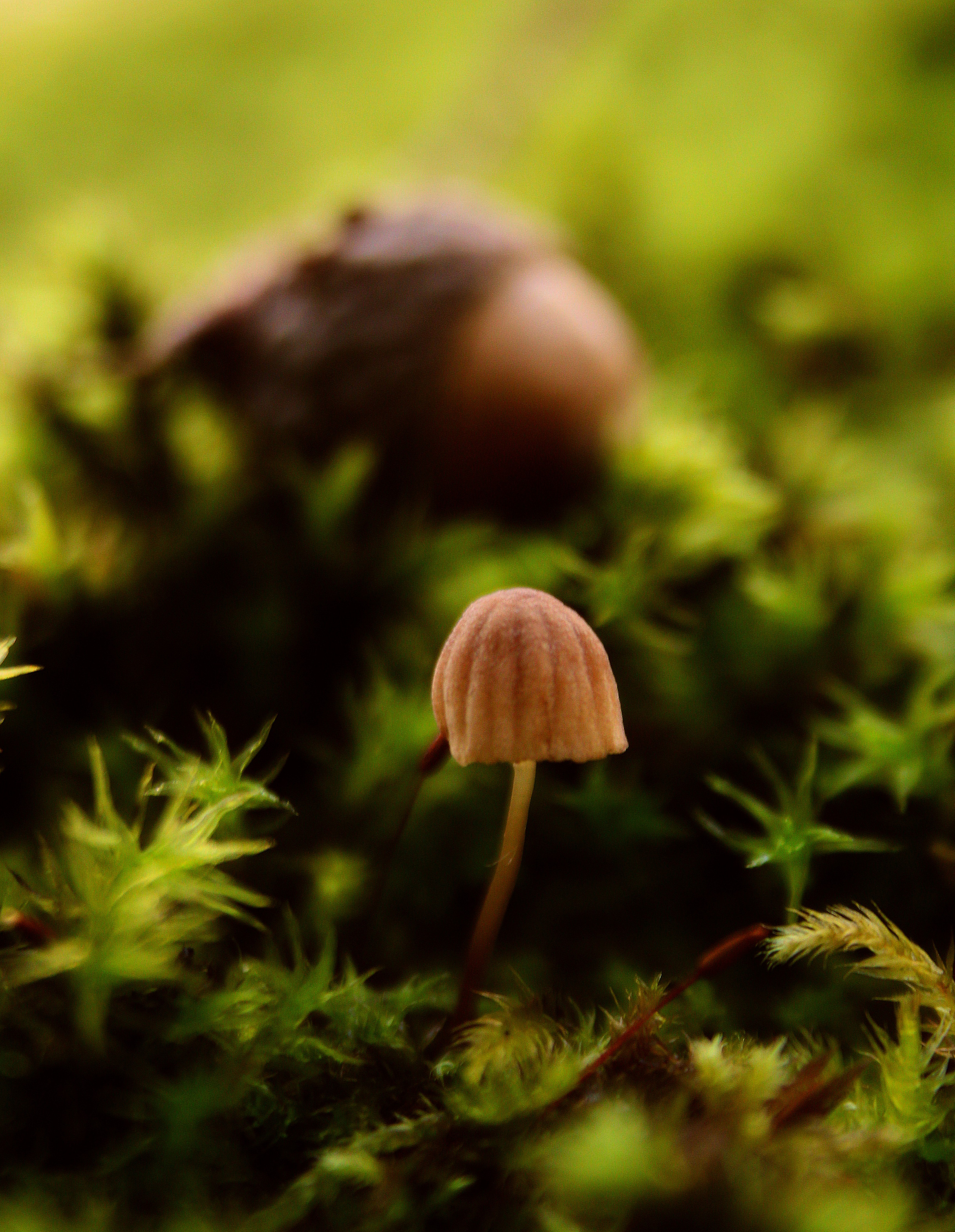 Макро. Обо всём