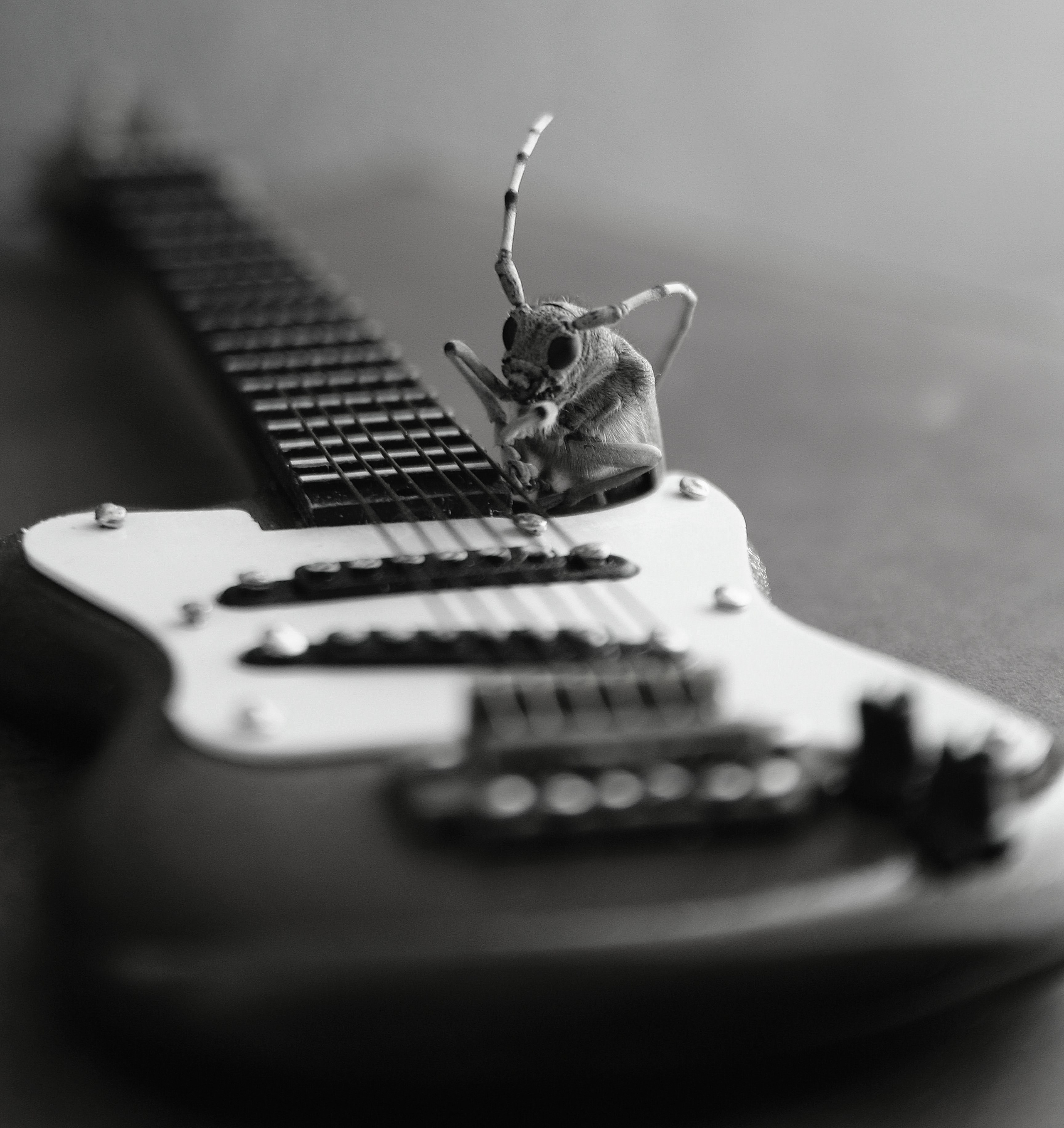 Чёрное белое. Обо всём