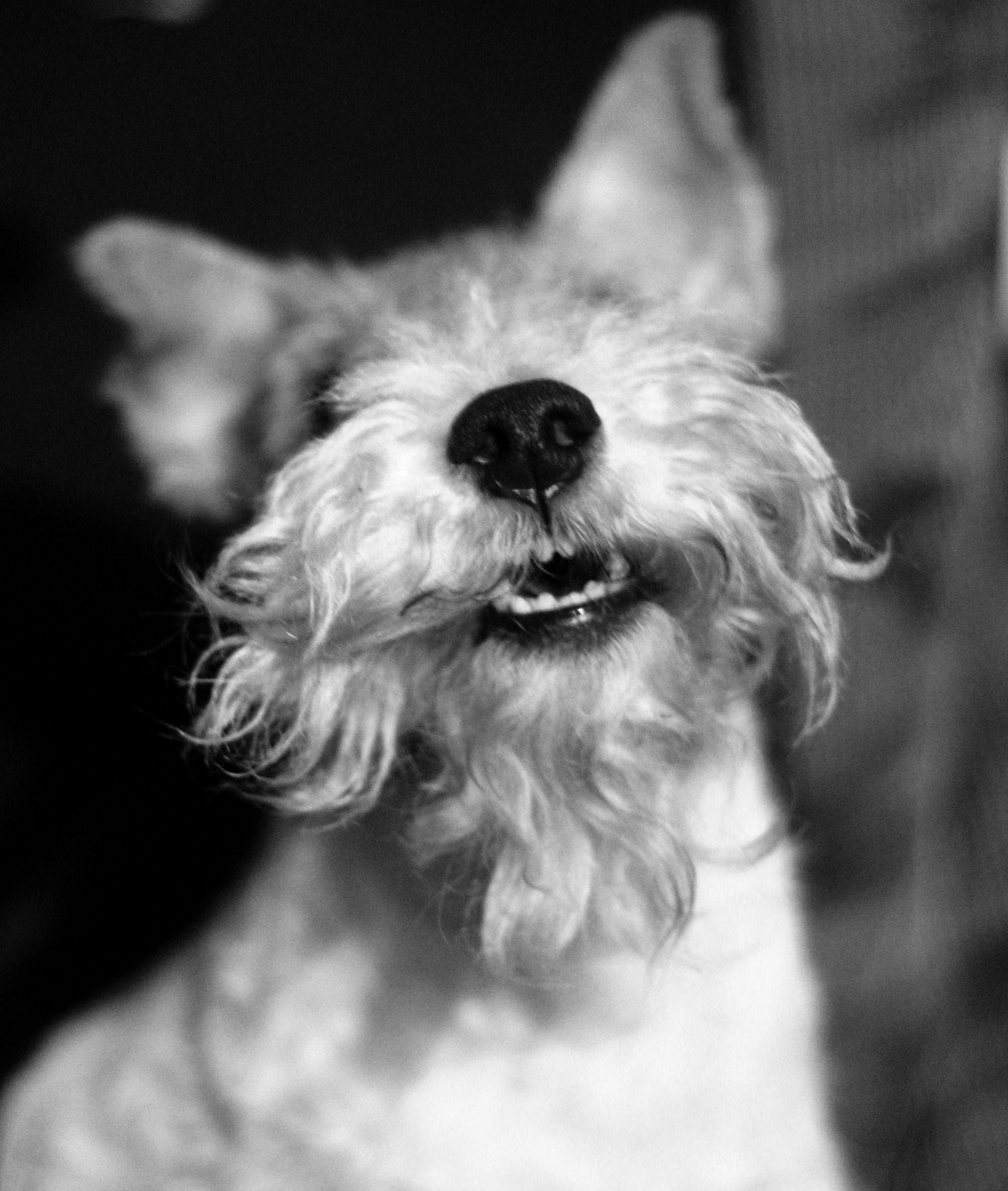 Чёрное белое. Обо всём