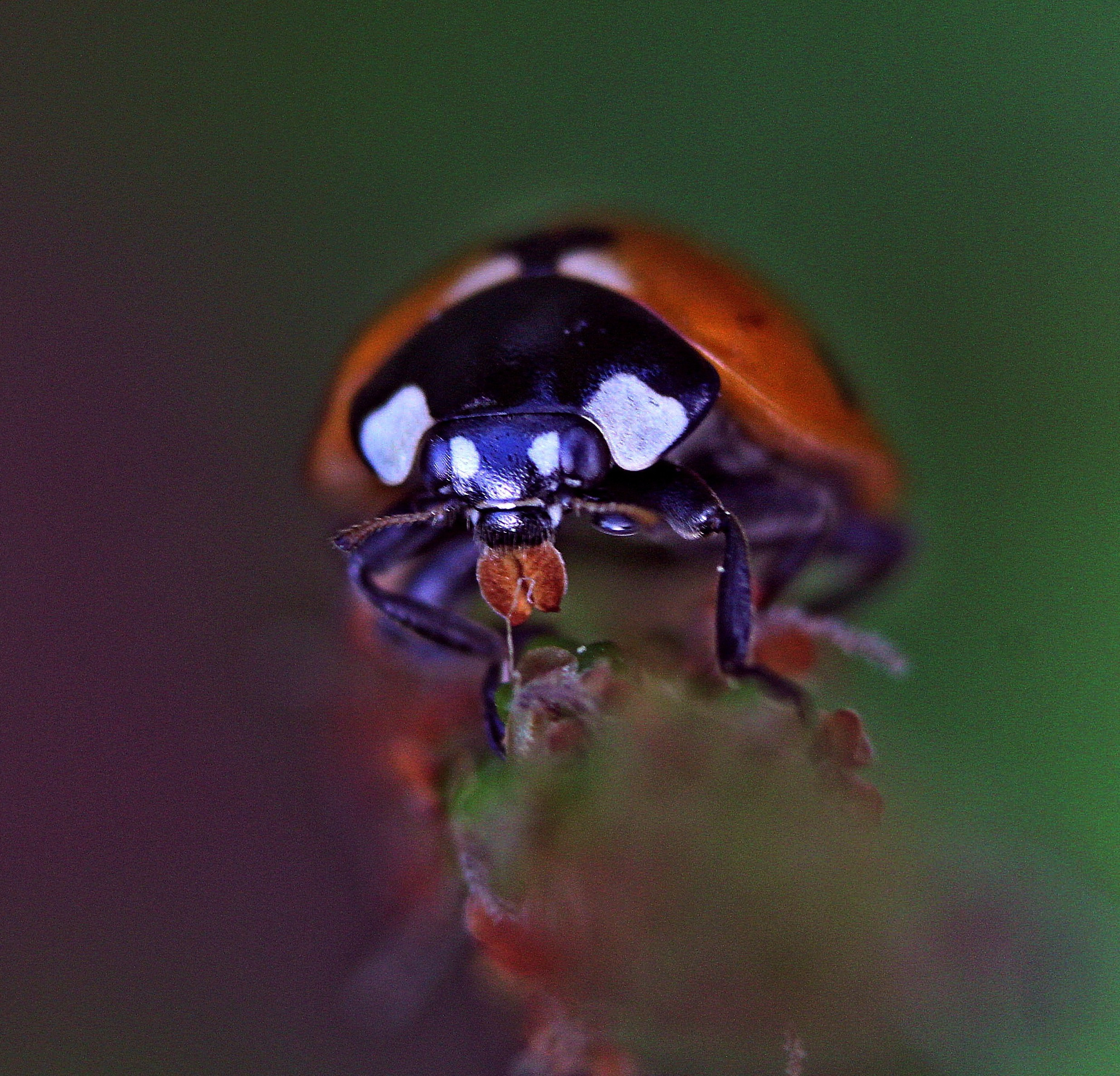 Макро. Обо всём