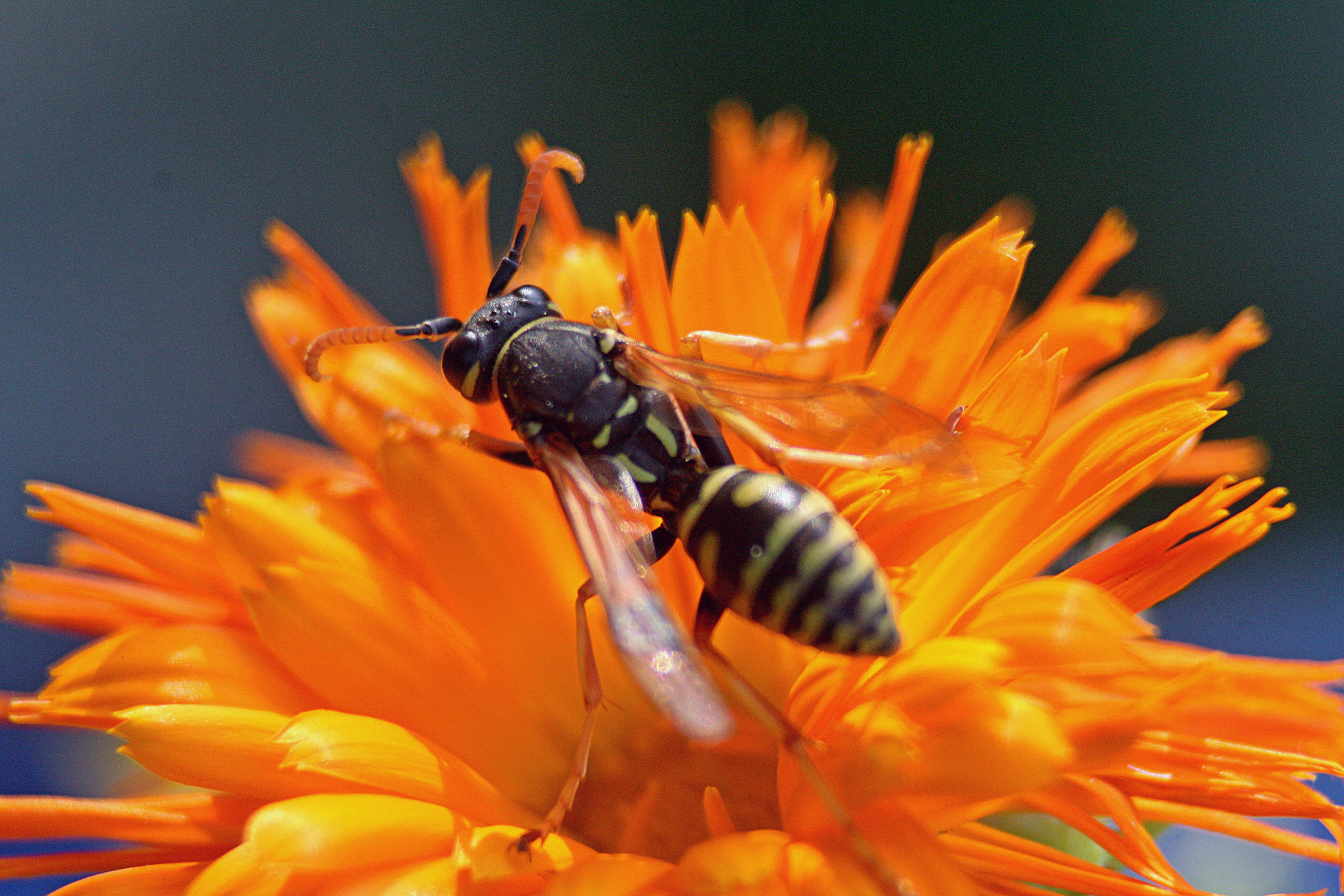 Макро. Обо всём