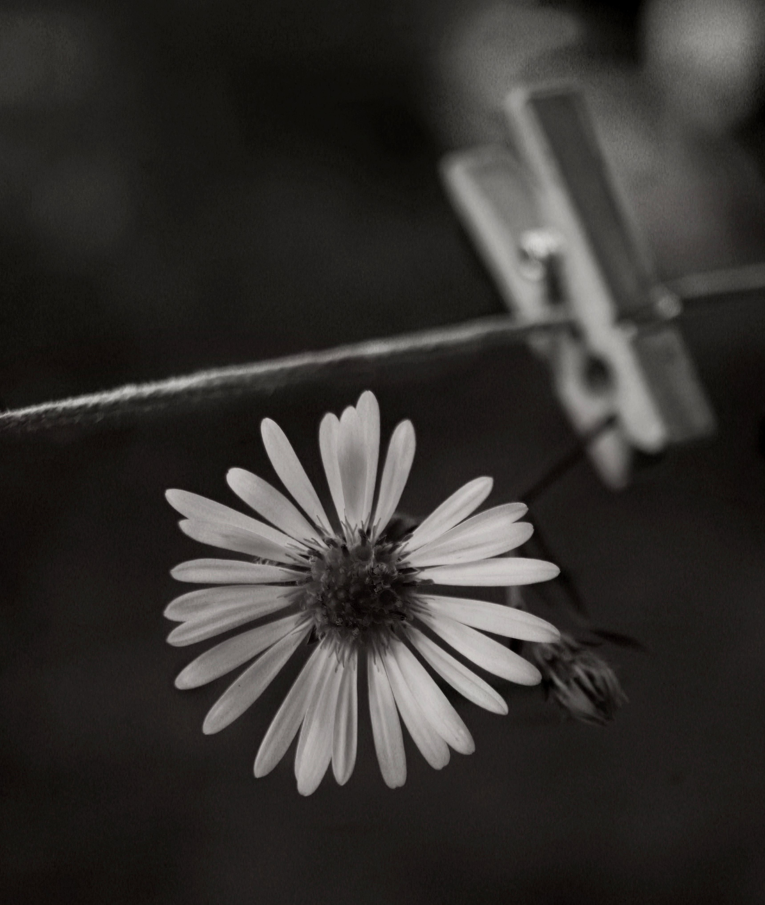 Чёрное белое. Обо всём