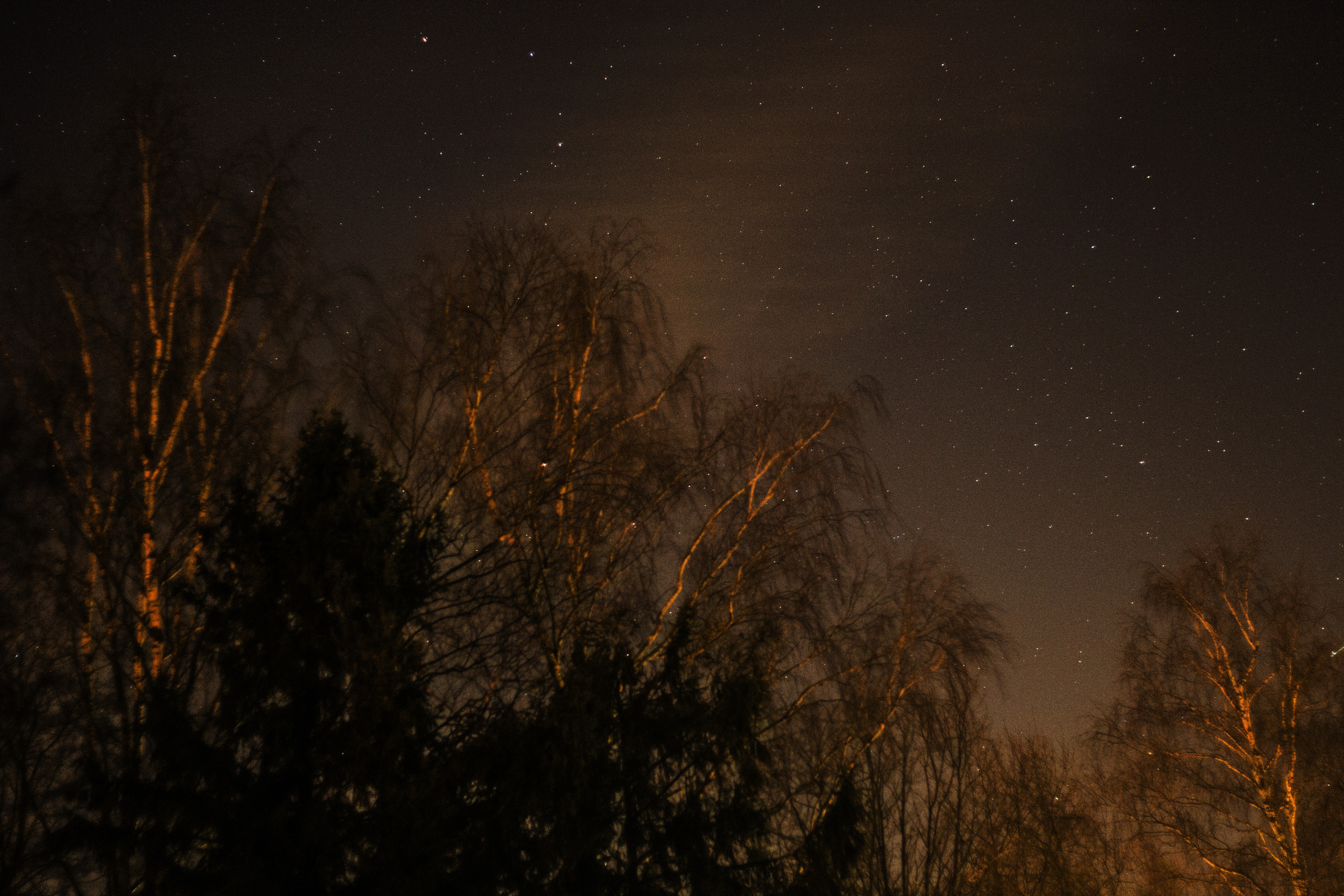 Природное. Обо всём