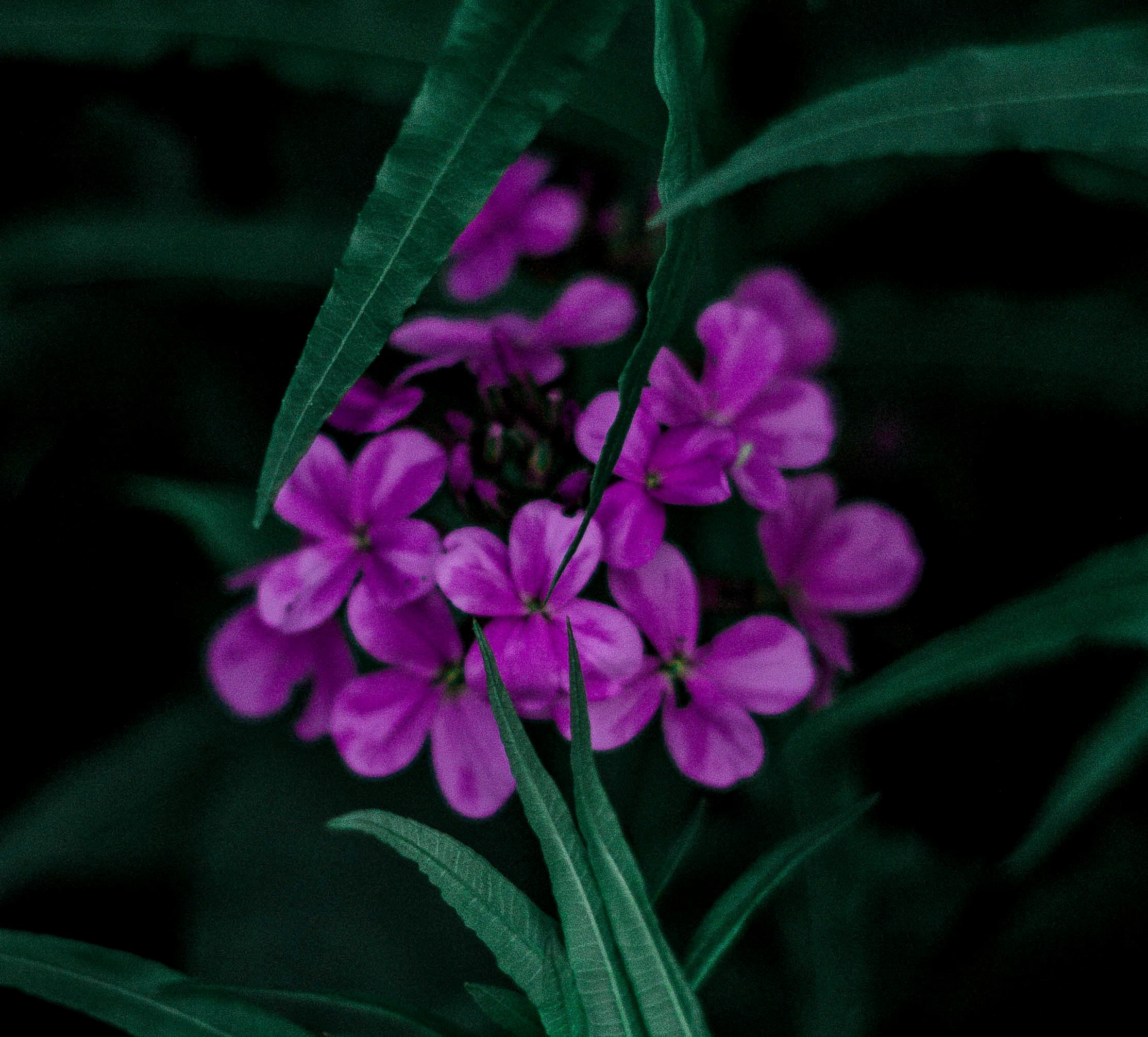 Природное. Обо всём