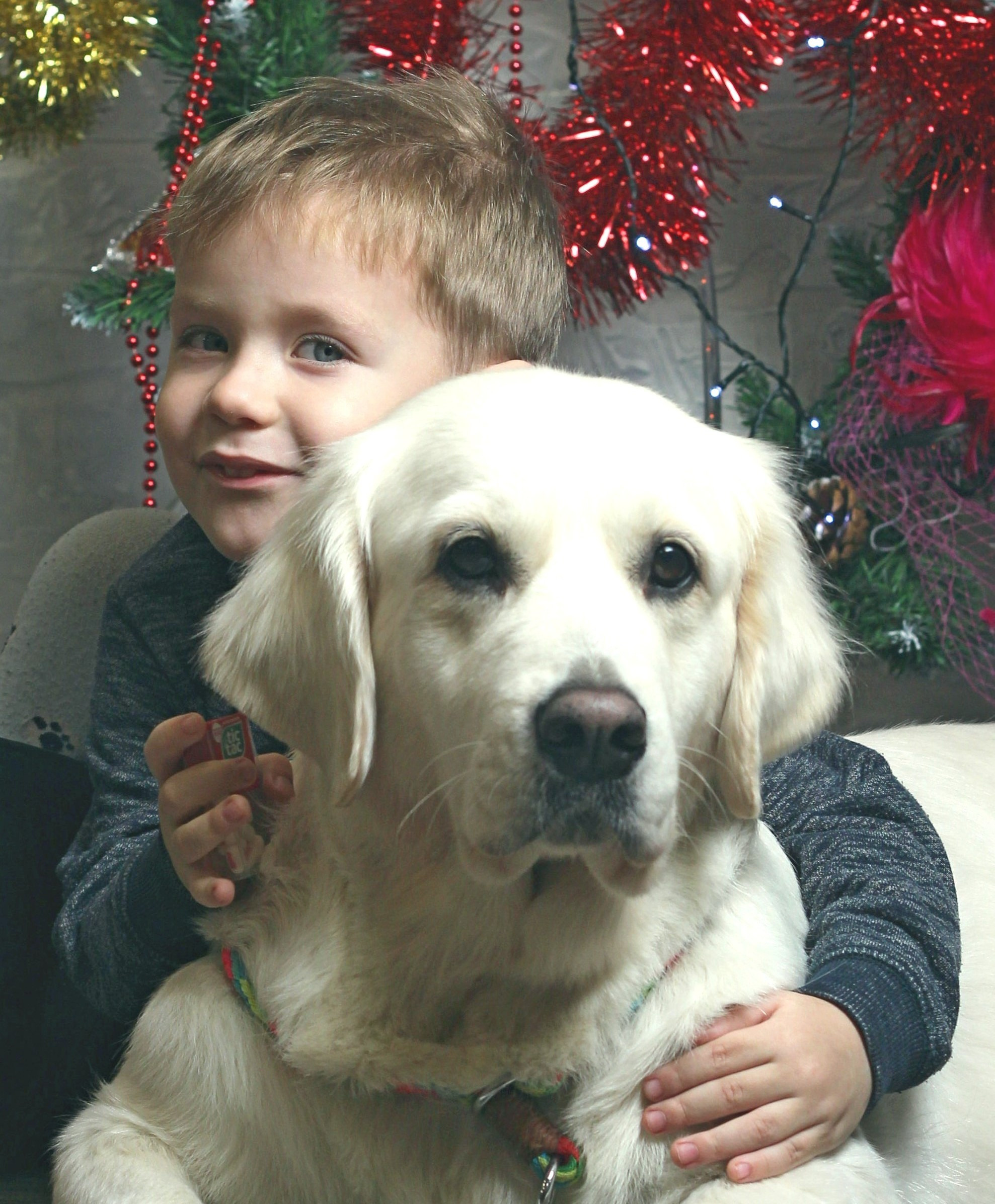 Дружба. Обо всём