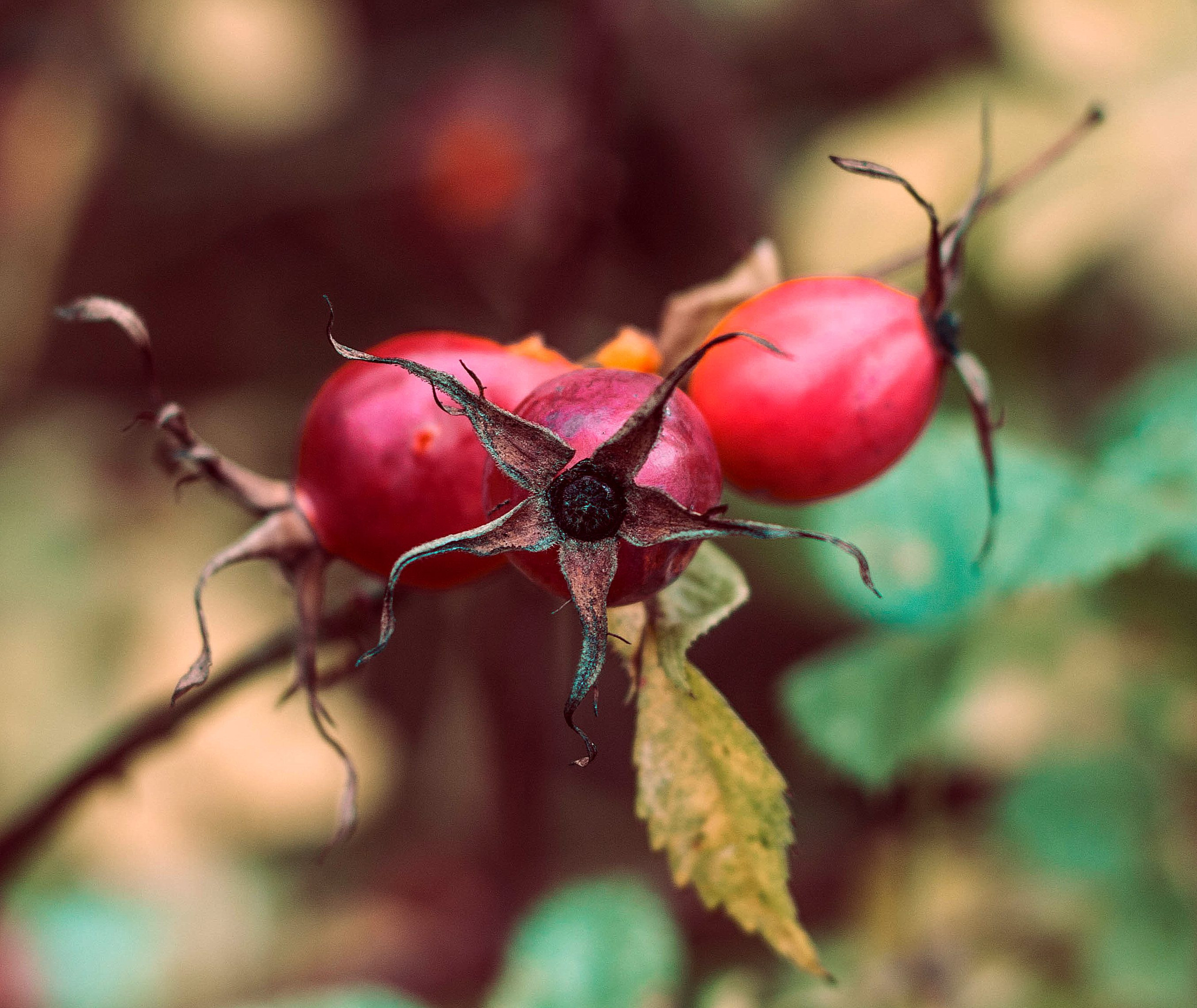 Природное. Обо всём